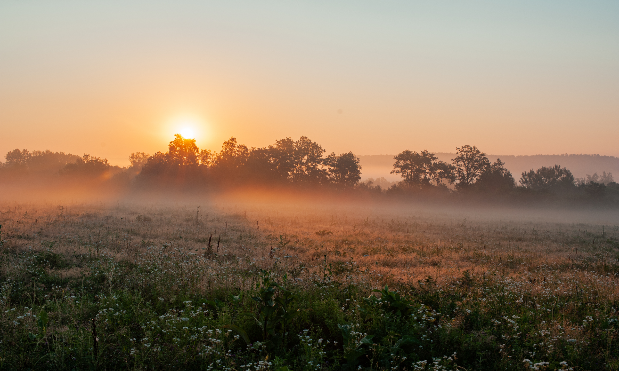 How to Stay Grounded During Market Volatility: Three Rules for Uncertain Times