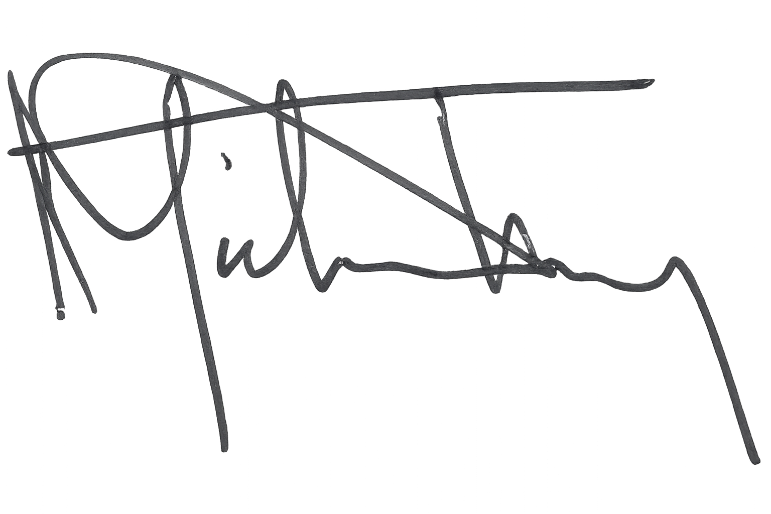 Hand written signature of Michael Tanney, the founding partner and Chief executive officer of Pereon Wealth