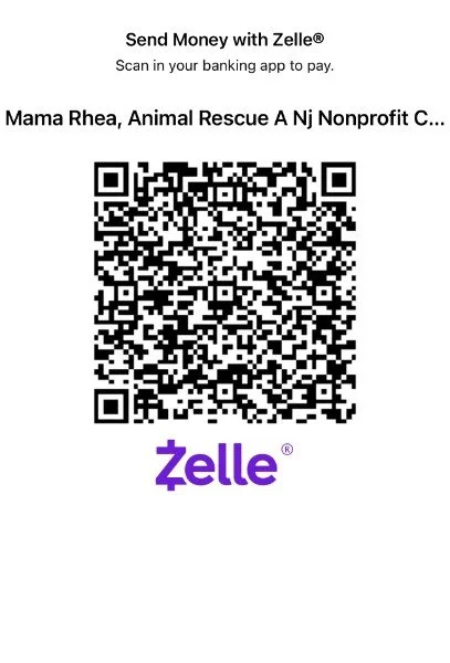 Zelle Donations to Mama Rhea Animal Rescue