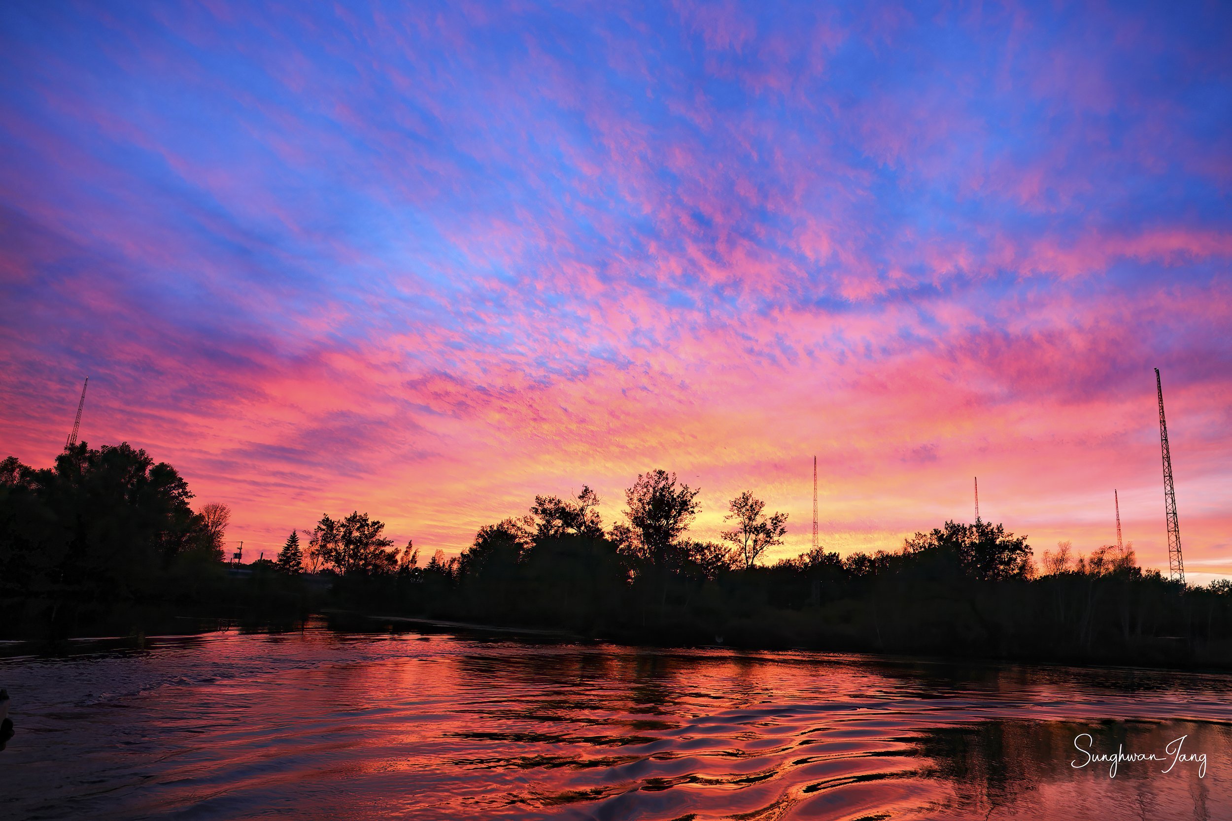 Crimson Canopy_Toronto islands.jpg