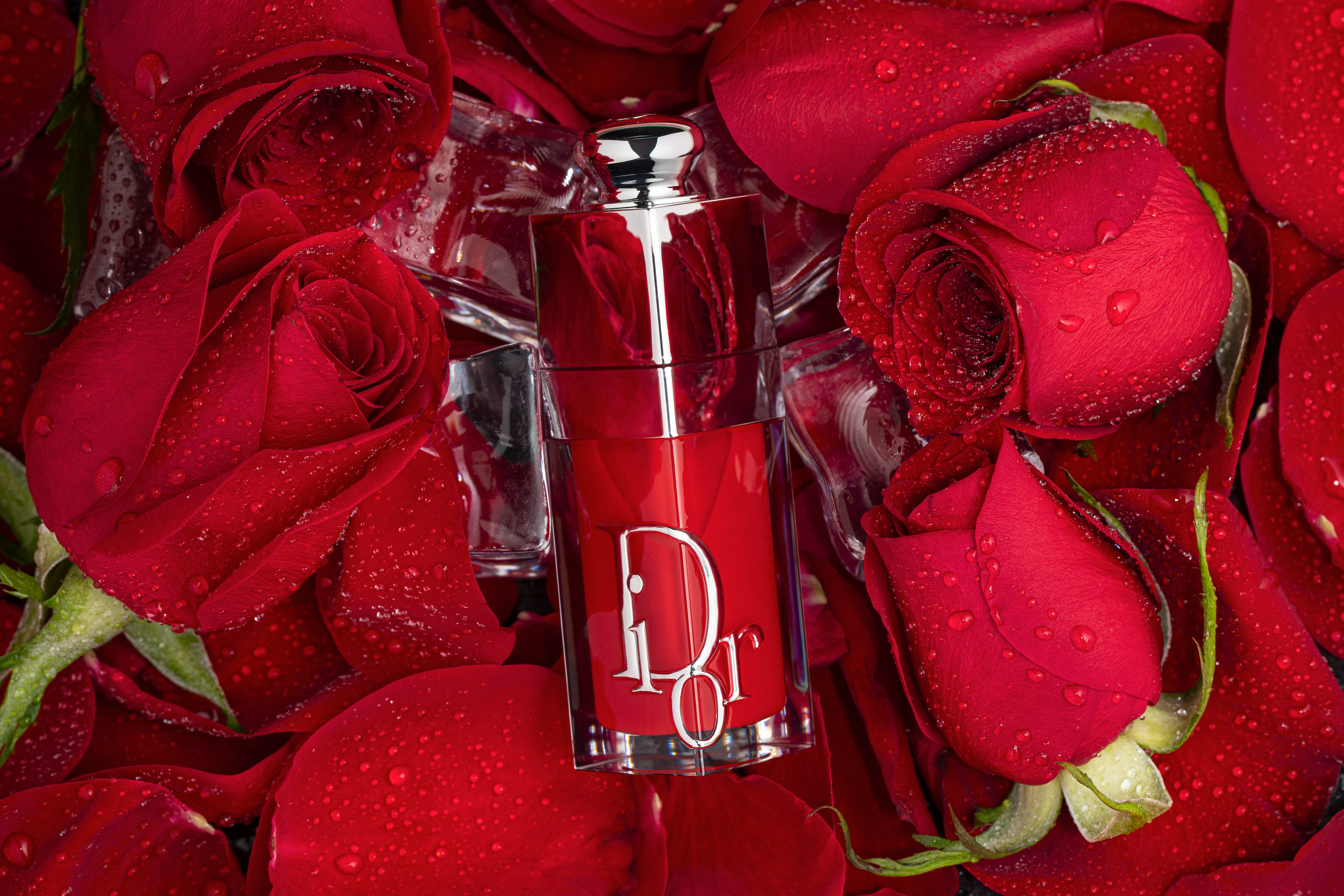 A bottle of Dior fragrance surrounded by red roses with water droplets on their petals.