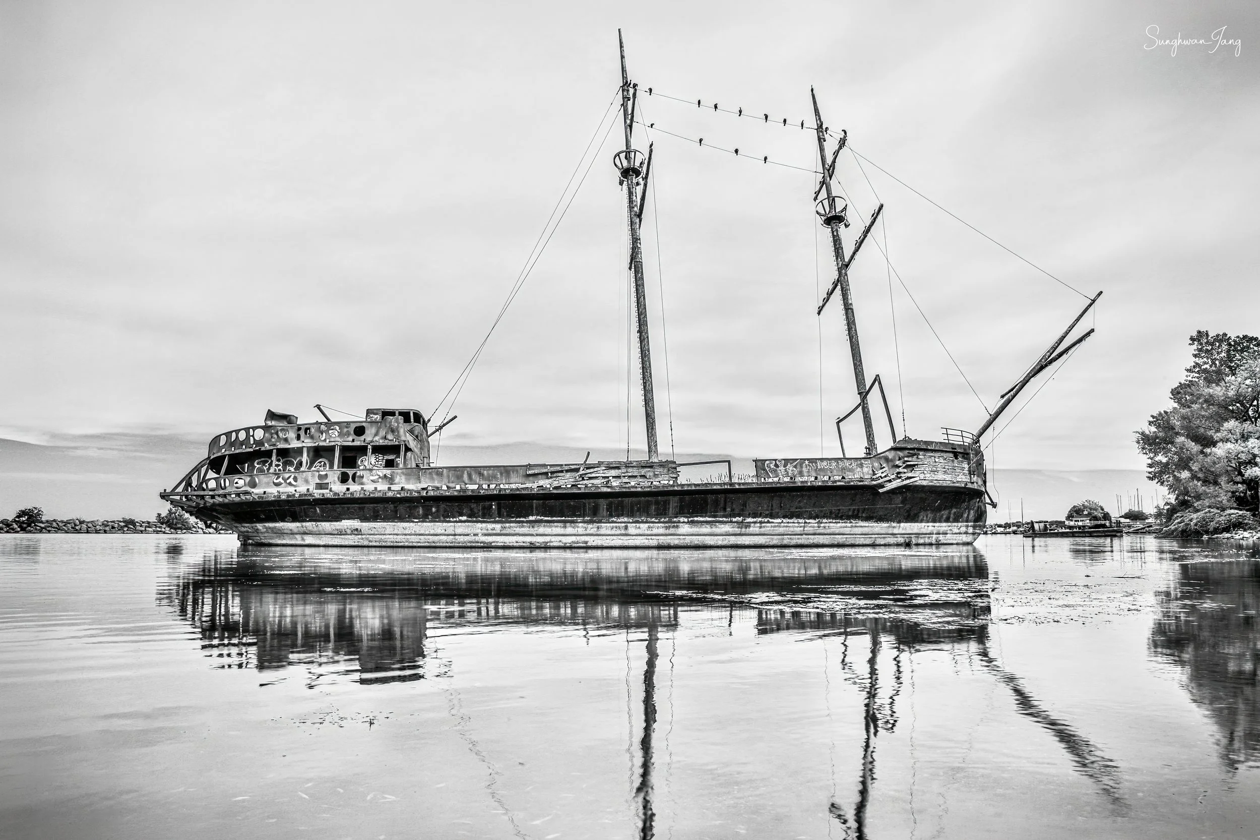 Black and white photo of a rusted, abandoned boat in calm water, with trees on the right and distant shoreline in the background.