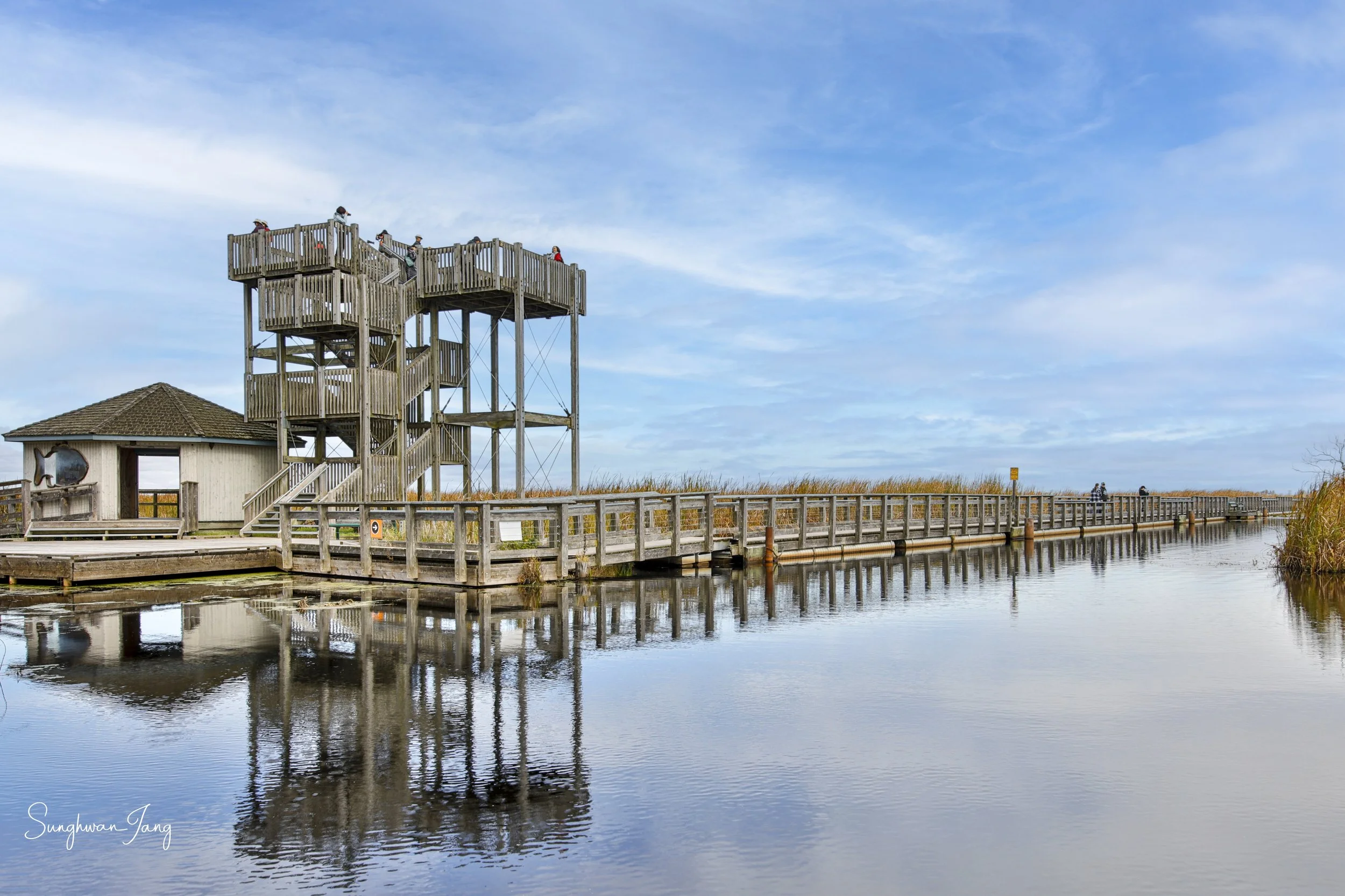 Marsh Board Walk.jpg