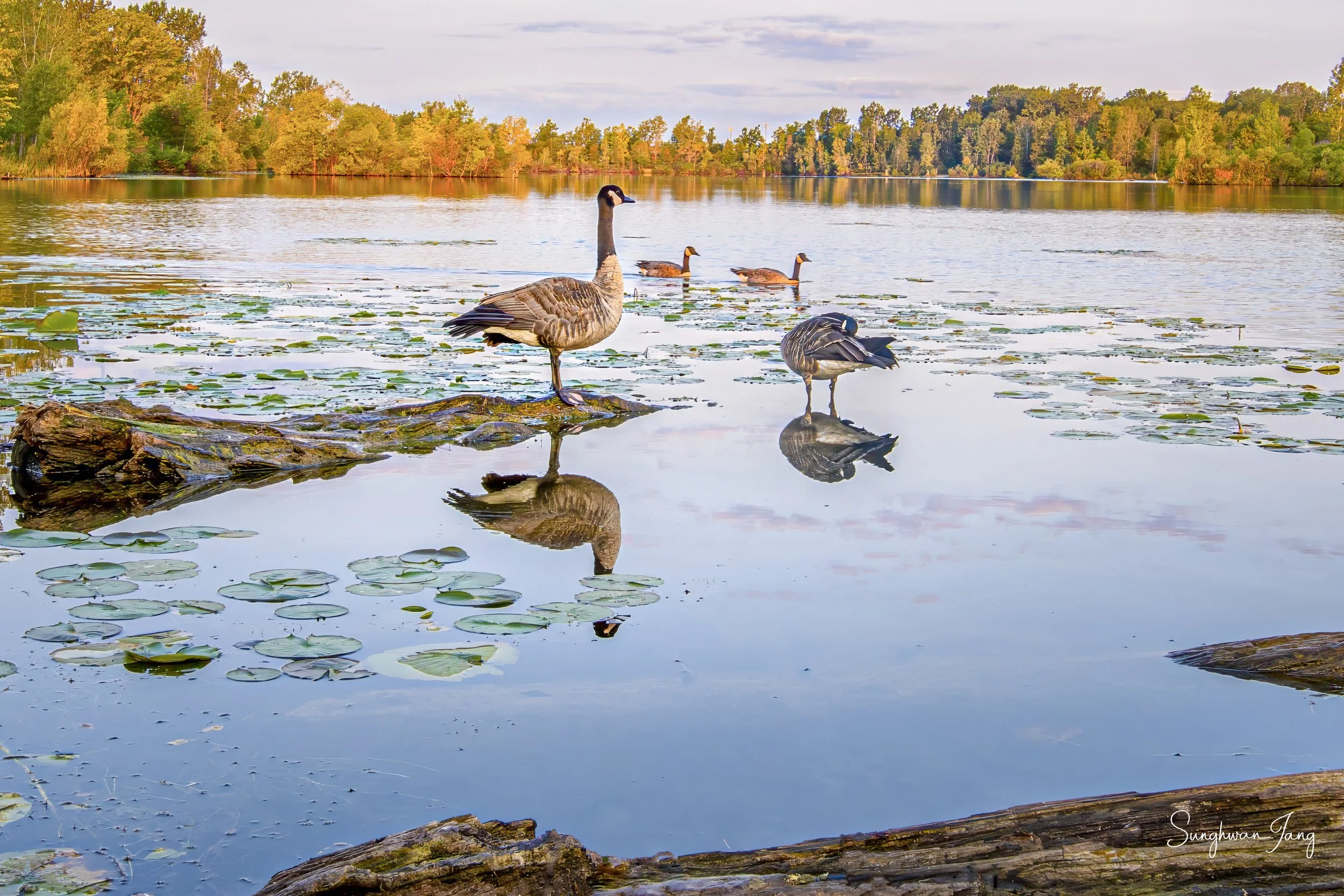 Morning_Lake Margaret.jpg