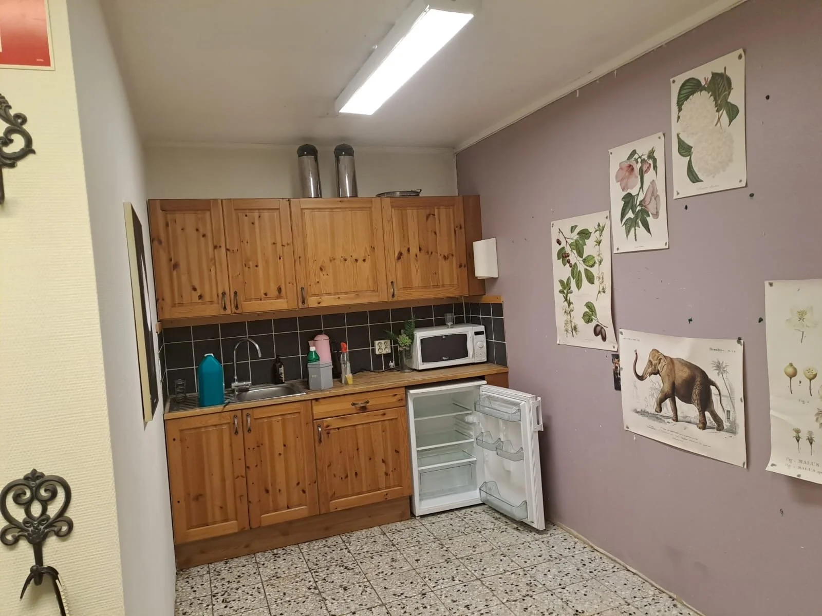 Kök med trämöbler, mikrovågsugn, öppet kylskåp, väggdekoration av botaniska illustrationer och ett dok-träd anhang