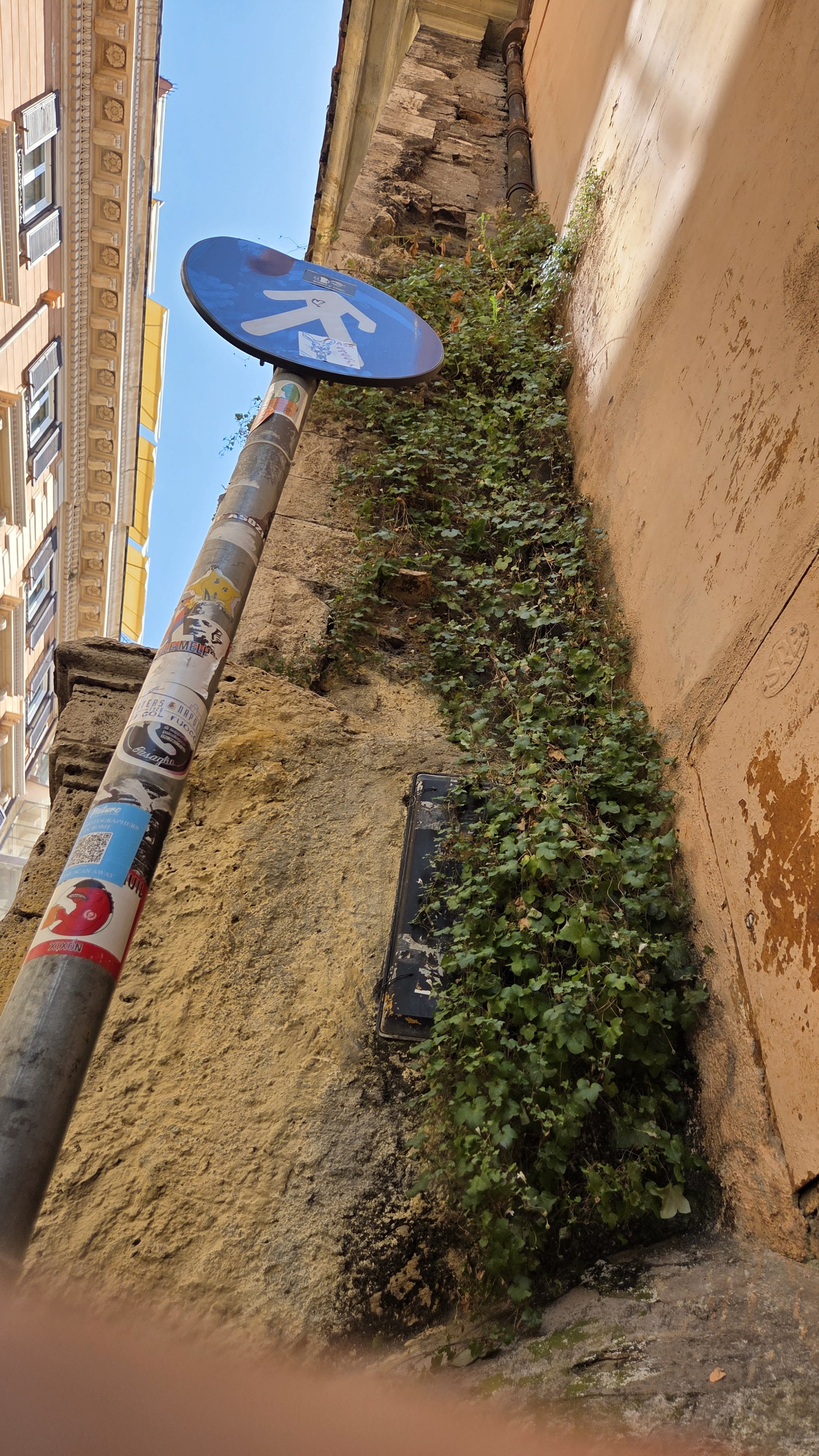 Ein blauer Fußgängerschild mit einem weißen Fußgänger-Symbol, auf einem Laternenmast mit Aufklebern, vor einer Mauer mit grünen Pflanzen und einem Gebäude im Hintergrund.