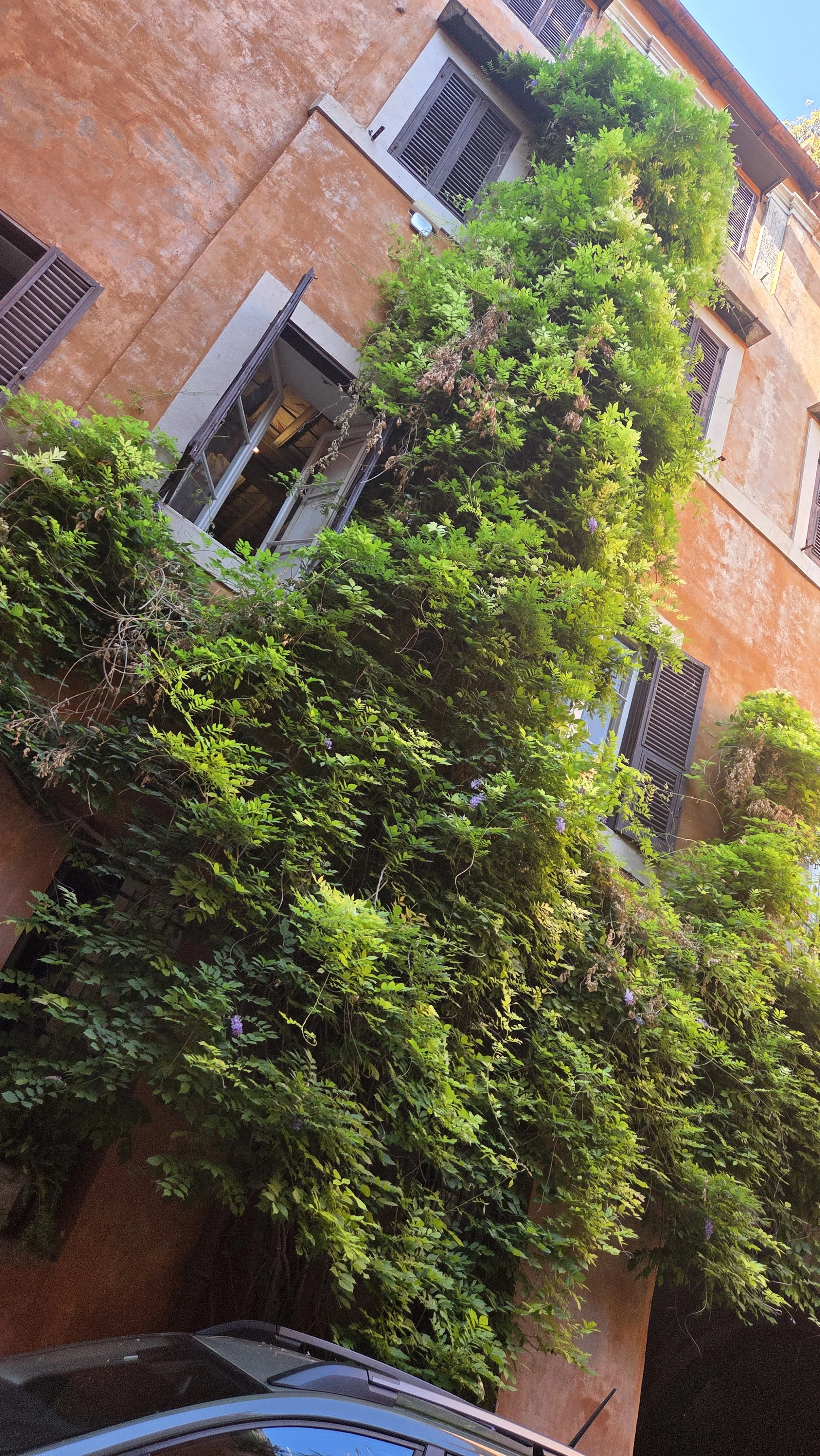 Ein Gebäude mit orangefarbener Wand und mehreren Fenstern mit offenstehenden Jalousien. Vor dem Gebäude wächst üppiges grünes Laub und Kletterpflanzen, die einen Teil der Wand bedecken.