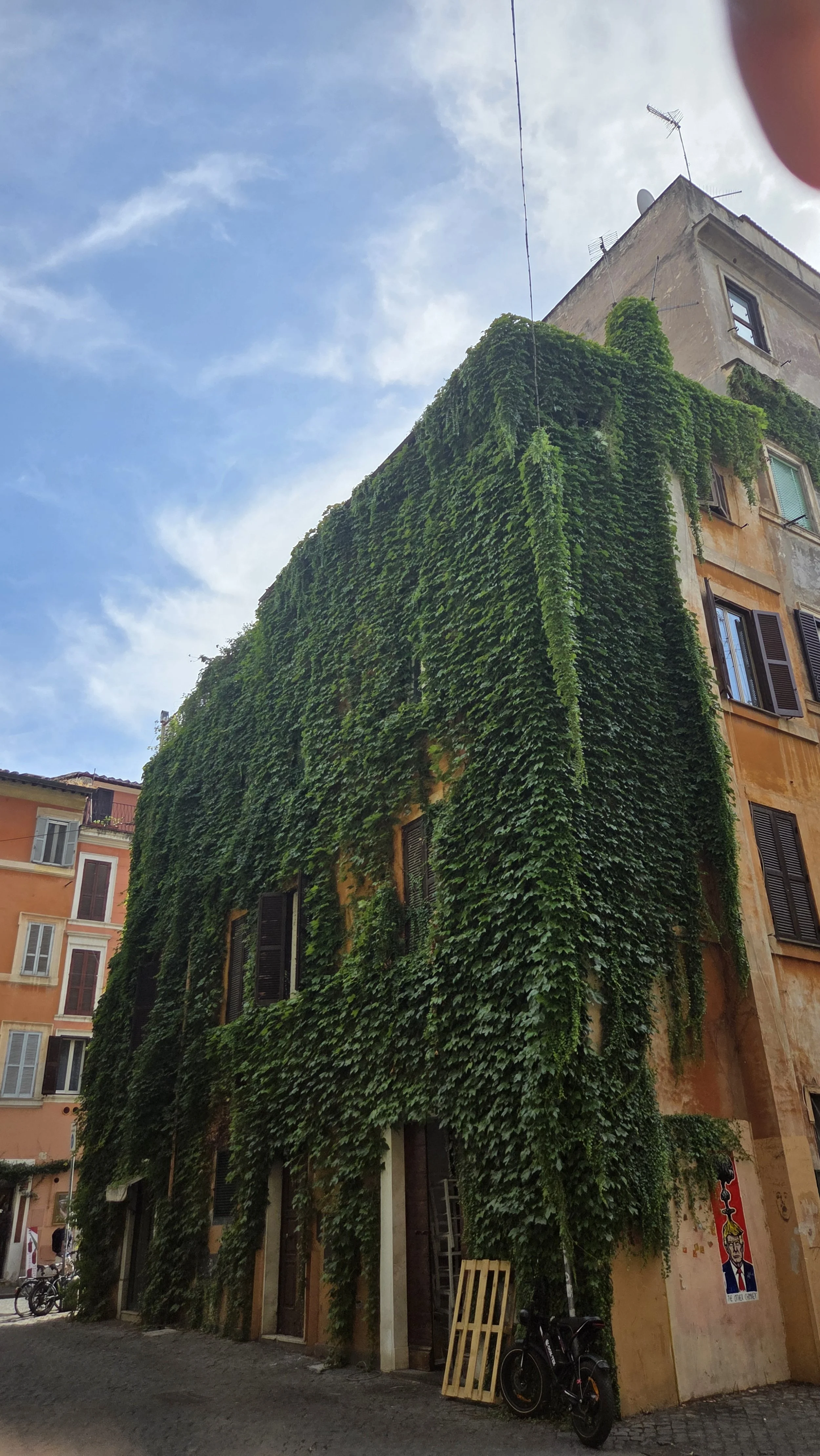 Ein mehrstöckiges Gebäude ist vollständig mit grünen Kletterpflanzen bewachsen. Das Gebäude hat offene Fenster mit dunklen Fensterläden und befindet sich in einer Stadt. Der Himmel ist überwiegend bewölkt.