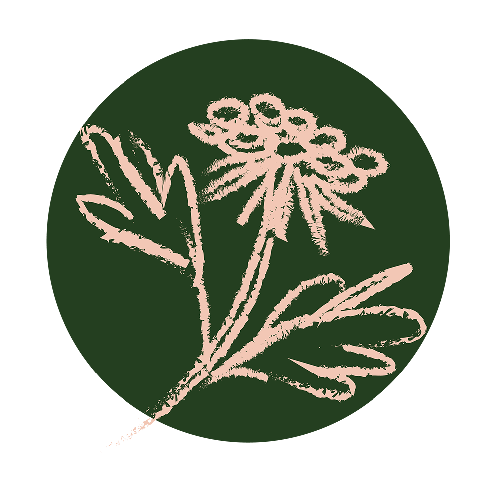 Illustration of a beige flower with multiple blooms and leaves on a dark green circular background.