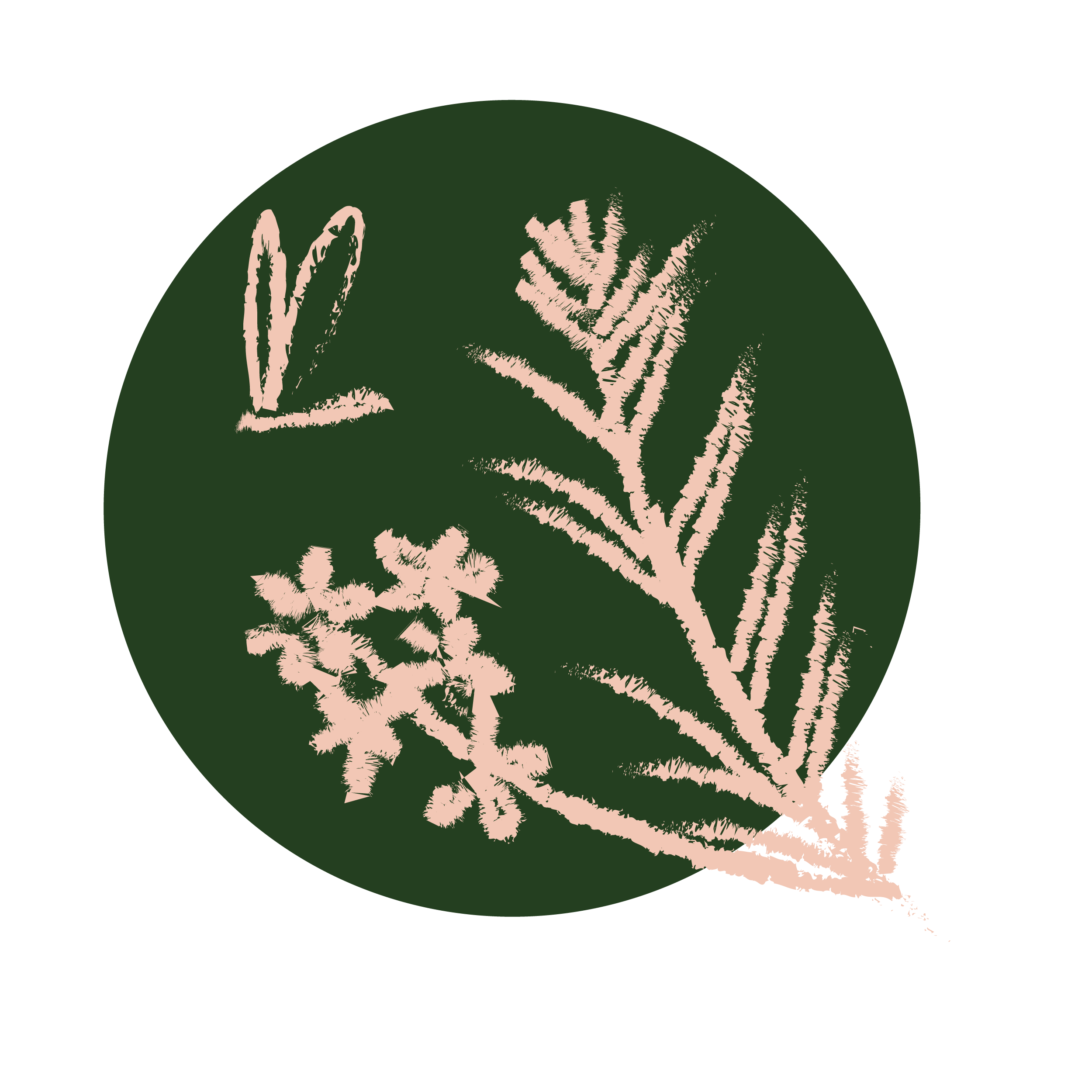 Illustration of a pink fern and a small cluster of pink flowers inside a green circle