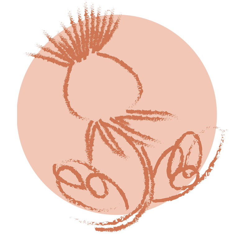 Abstract drawing of a flower with curved lines and a circular background.