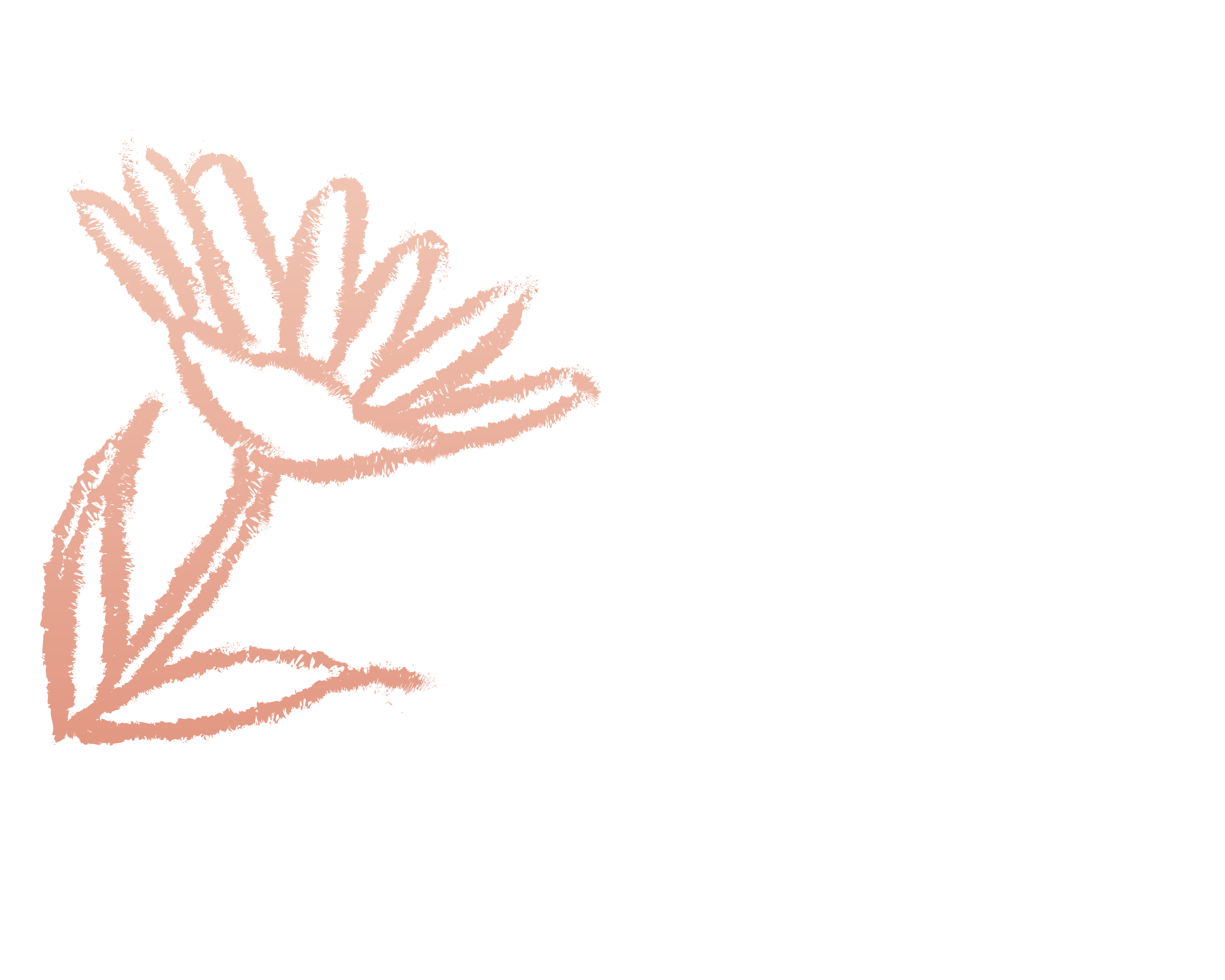 A digital sketch of a flower, with text saying "let's begin"
