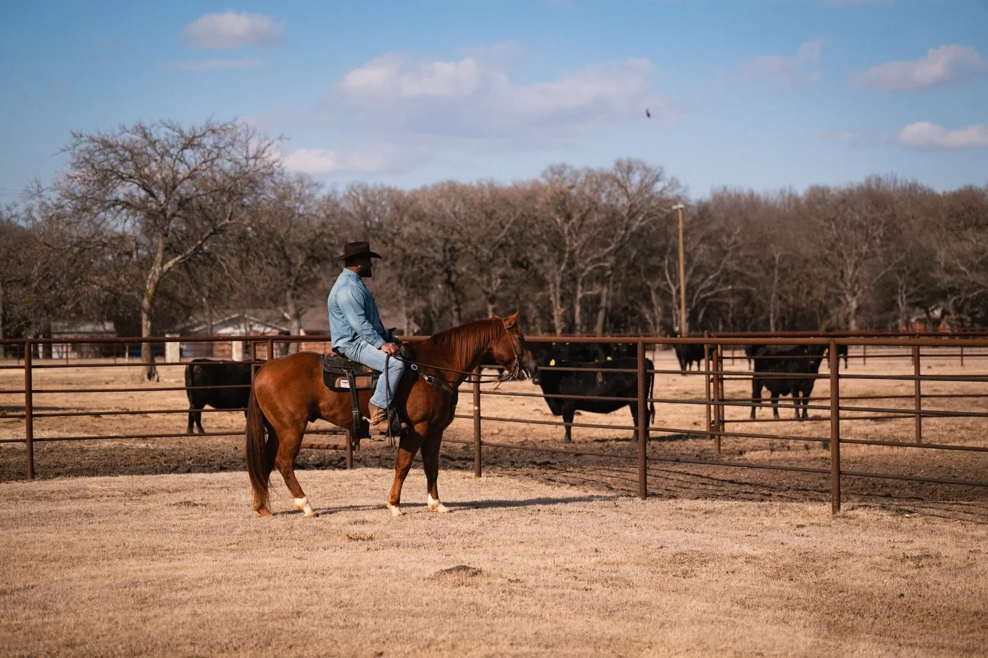 If I go missing&hellip; you&rsquo;ll find me here at the ranch. 
.
.
#godchauxranch #horses #westernwayoflife #findmehere #ranch 
📸 @emilythurnerphoto