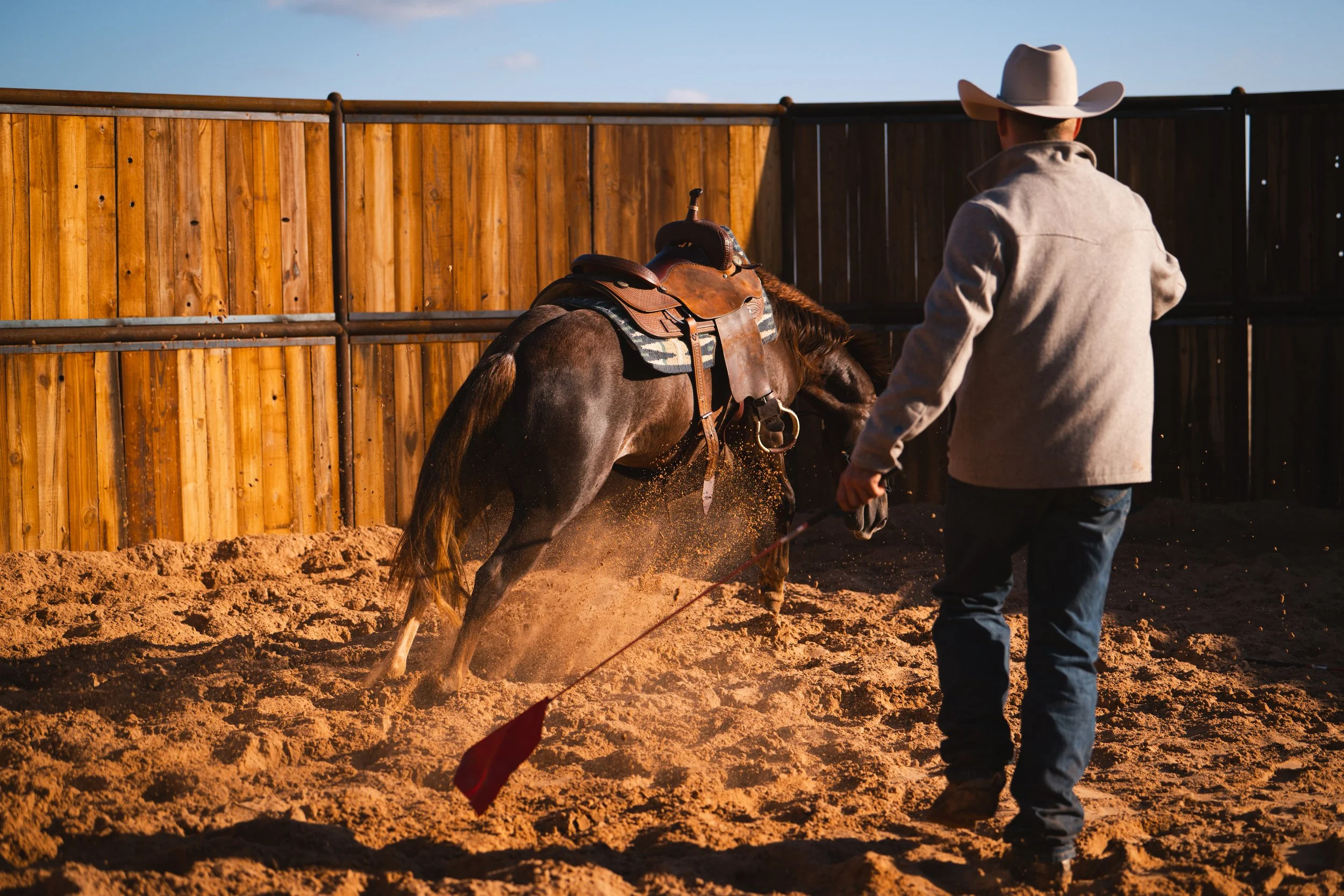 A person in cowboy attire training a bucking horse in an enclosed outdoor arena with a wooden fence.