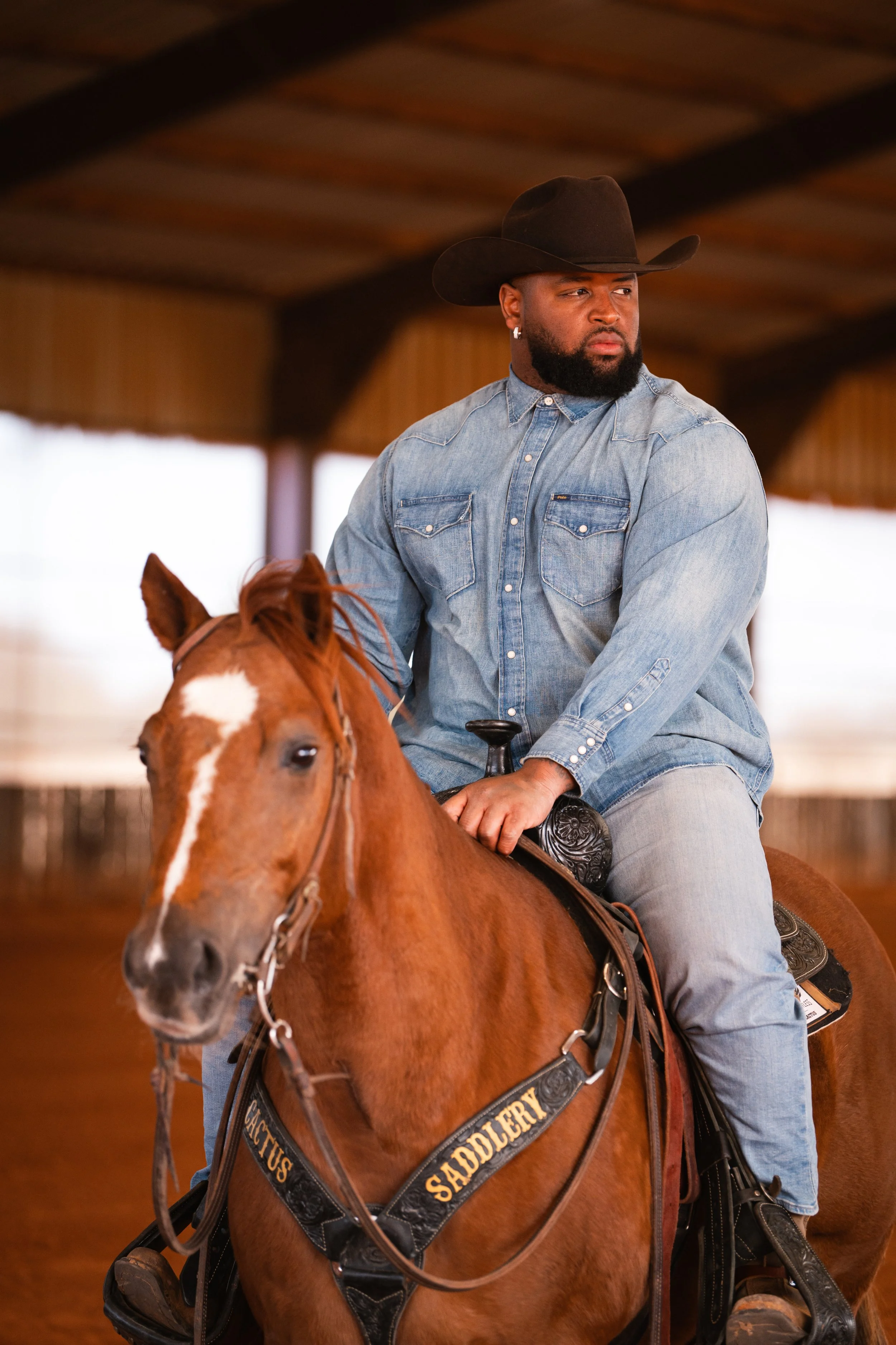 davon godchaux and horse