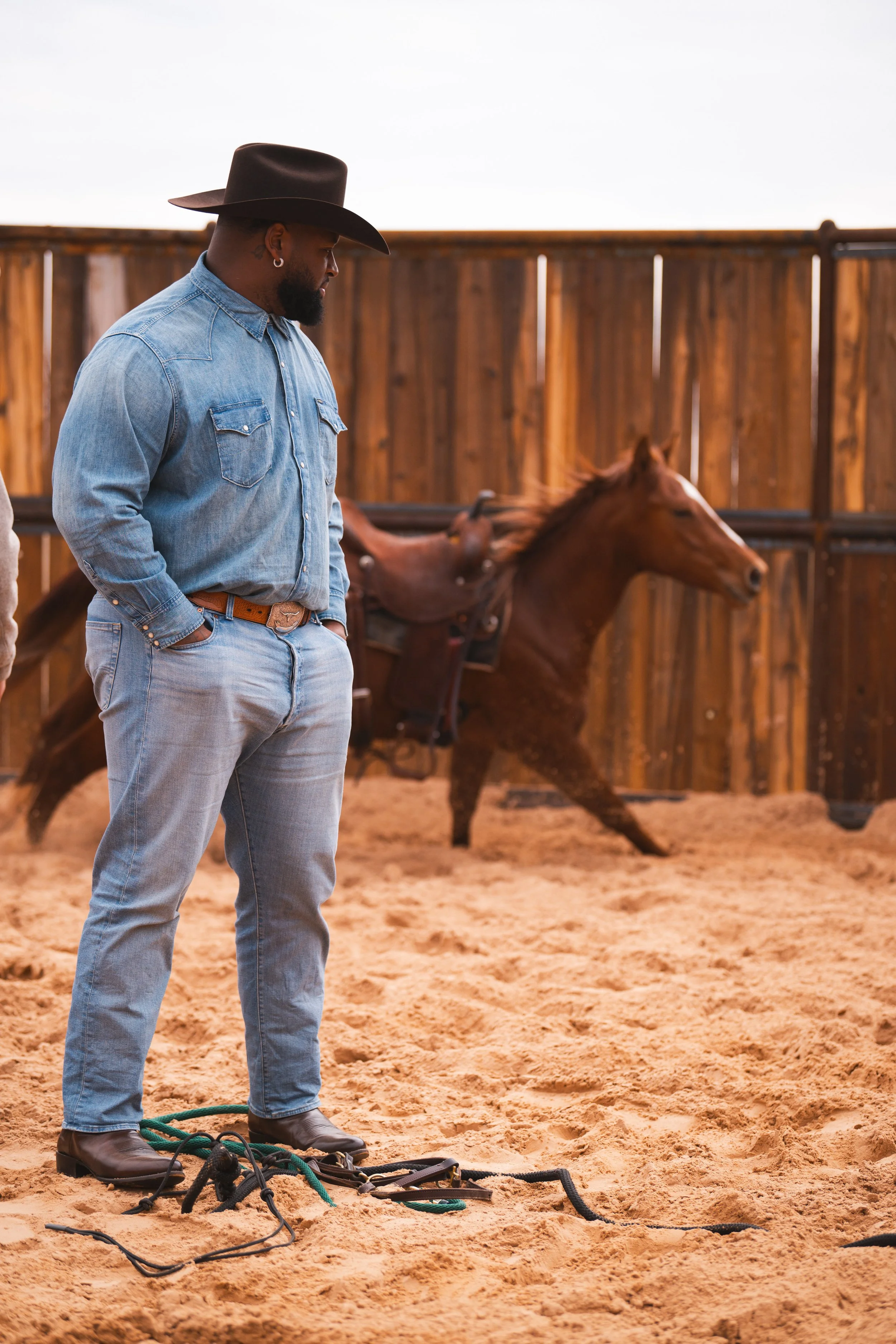 davon godchaux and horse