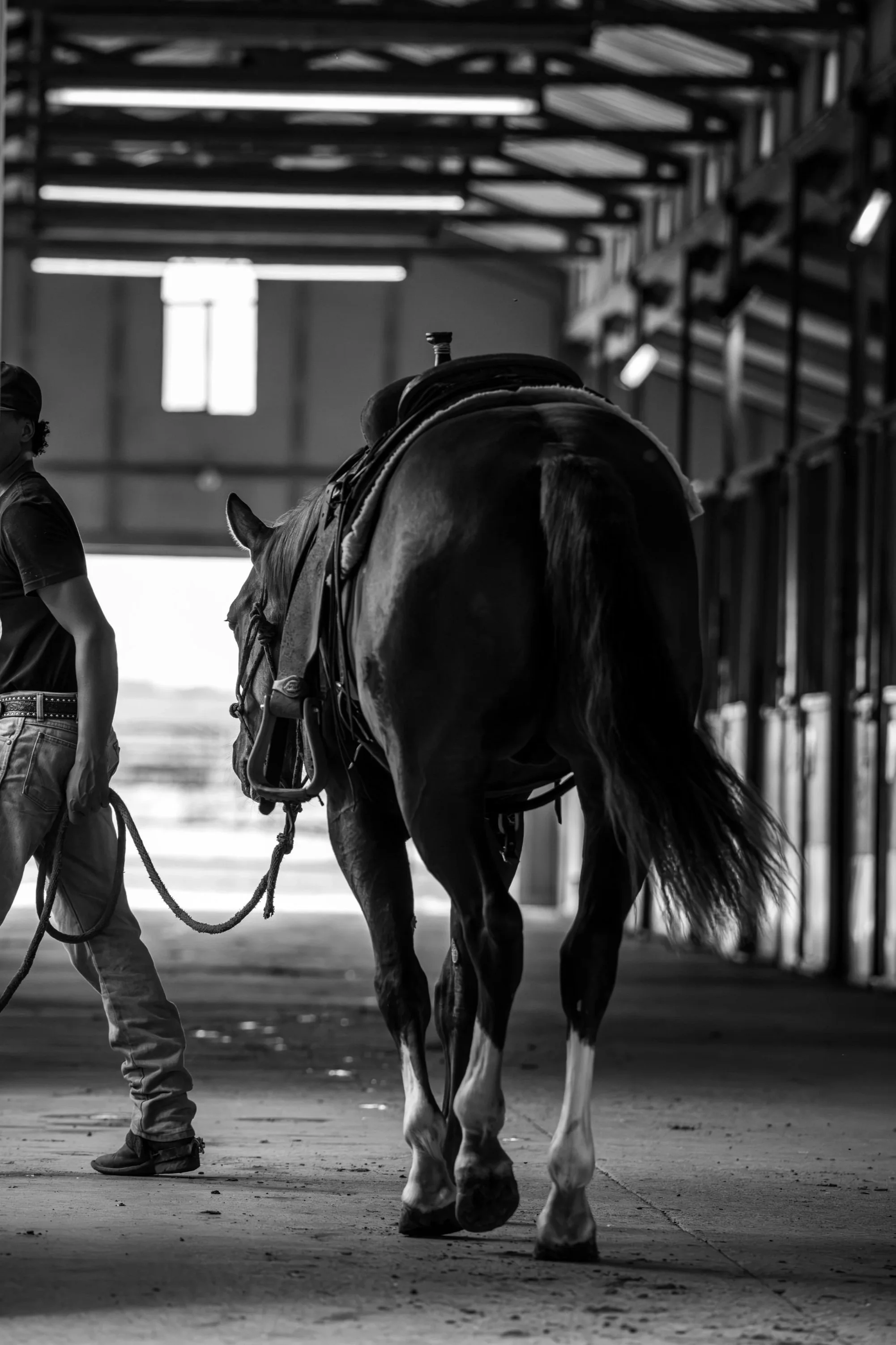 Black and white photo of a horse with a rider in a stable, with a person leading the horse using a lead rope, and the stable structure with open doors and bright windows in the background.