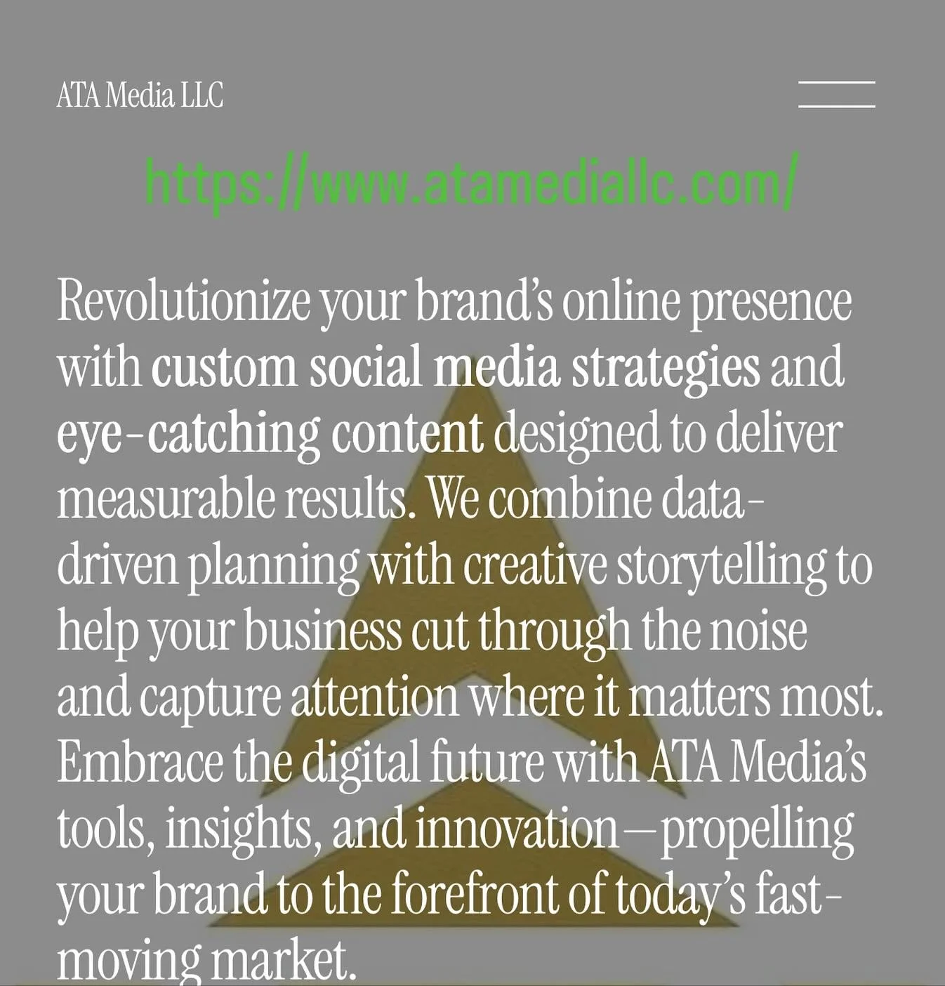 ✨ Introducing ATA Media LLC ✨
Where strategy meets creativity.

We help businesses stand out with custom social media strategies, eye-catching content, and data-driven growth plans that deliver real results.
From scroll-stopping visuals to smart anal