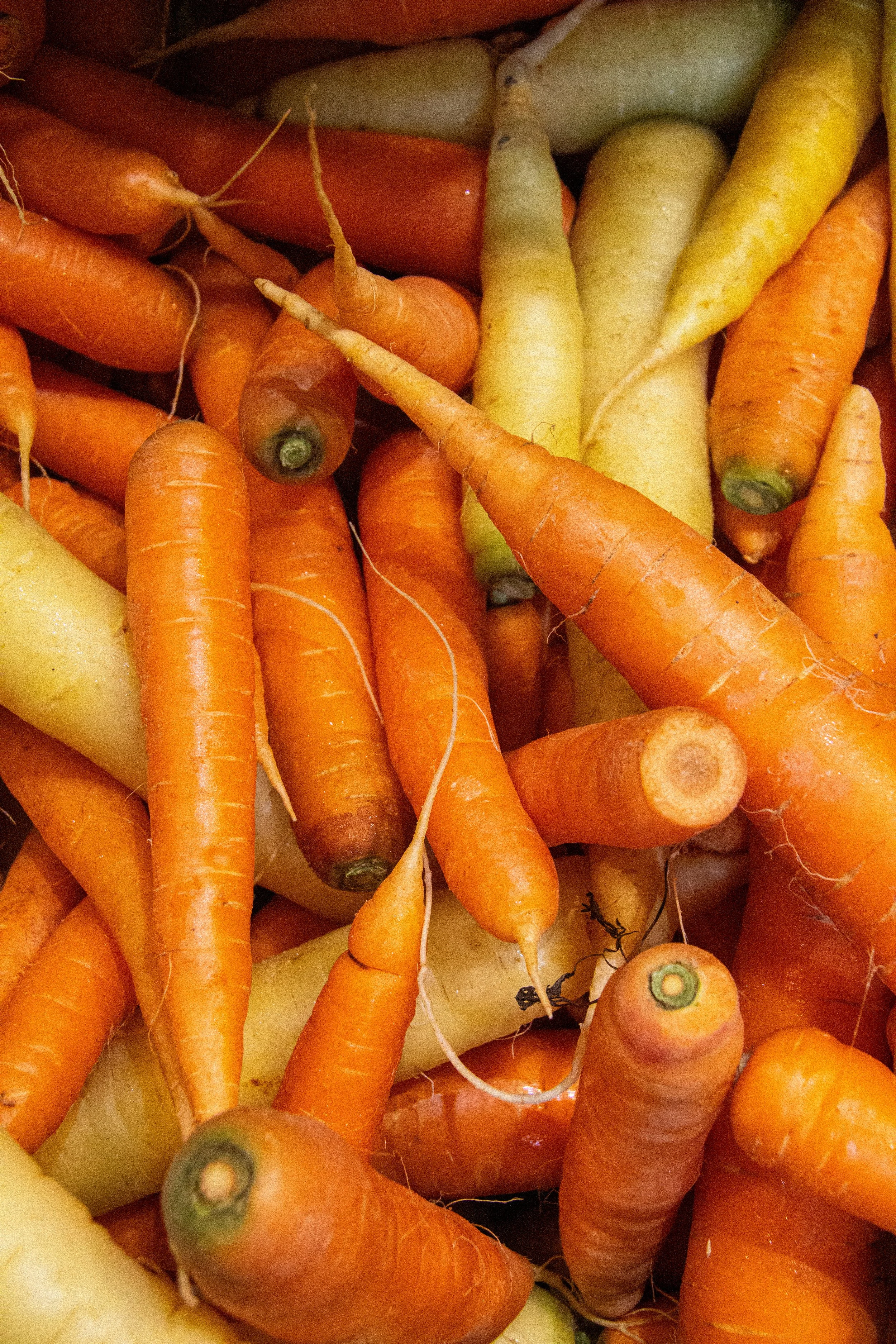 carrottes- le.hangar.autrement.bio.permacole.jpg