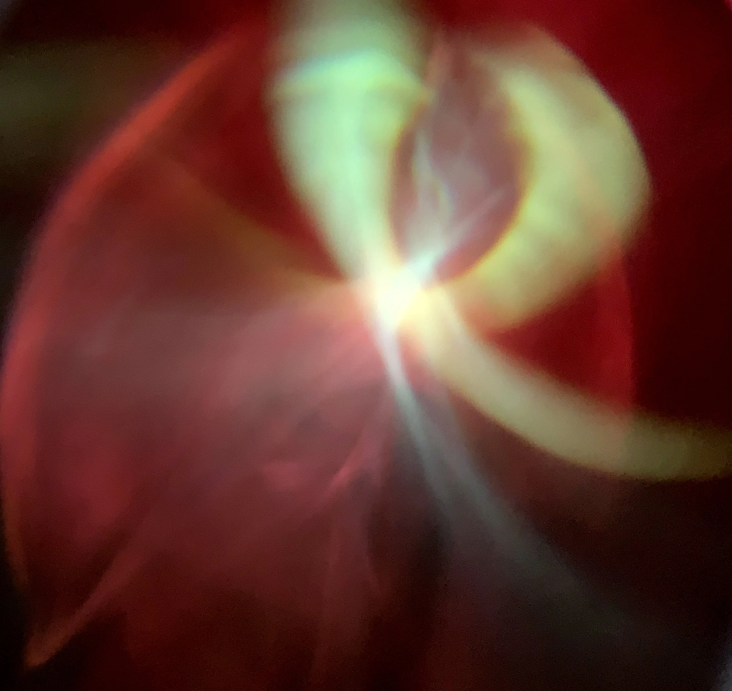 IMG_2757crop.jpg