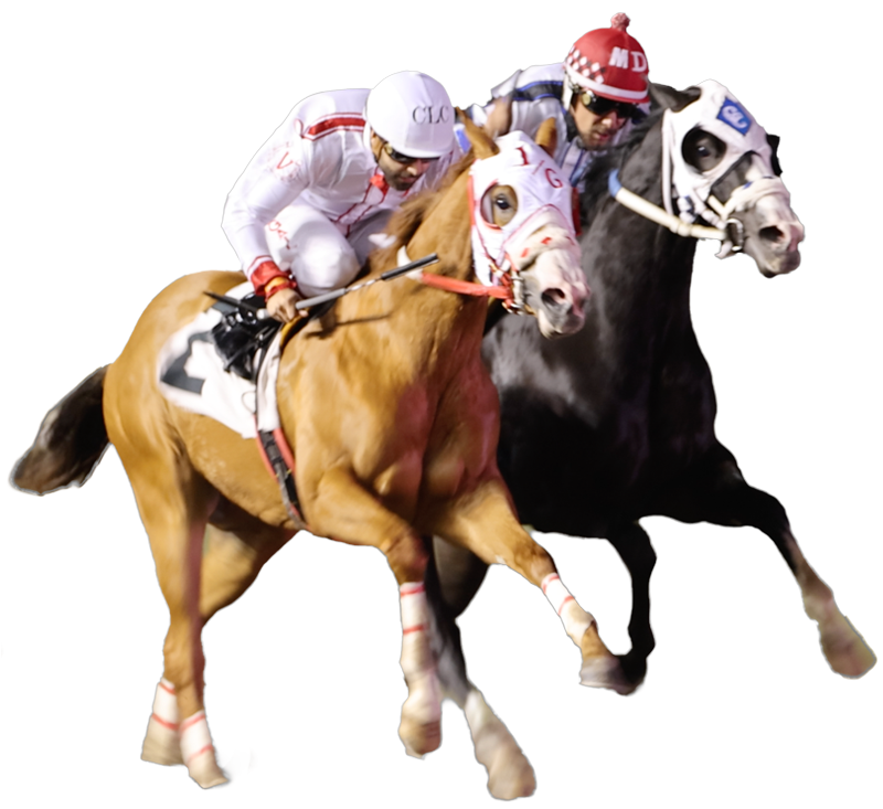 Two jockeys riding racehorses during a race.