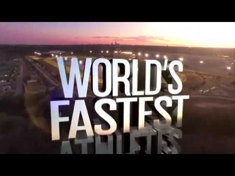 Something For Everyone 2018