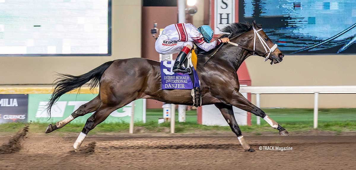 A racehorse and jockey in a horse race on a dirt track, with the horse in full gallop and the jockey leaning forward for speed.