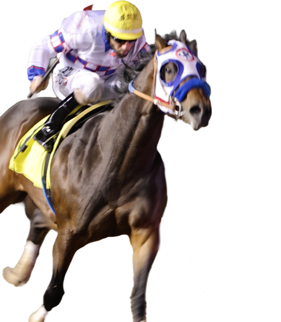 Jockey riding a horse during a race, wearing a yellow helmet and colorful silks with a yellow saddle cloth.