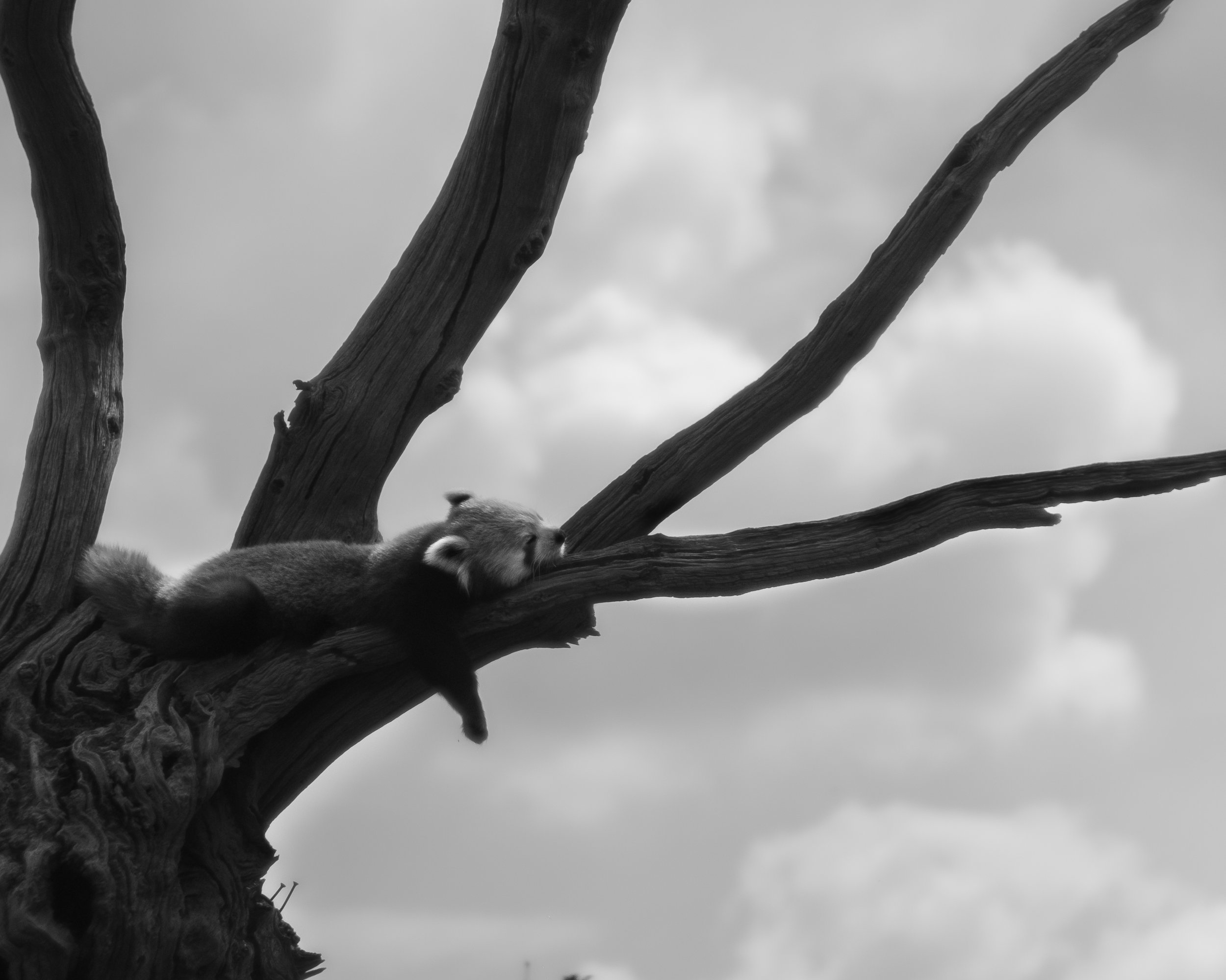 DSCF2584.jpg