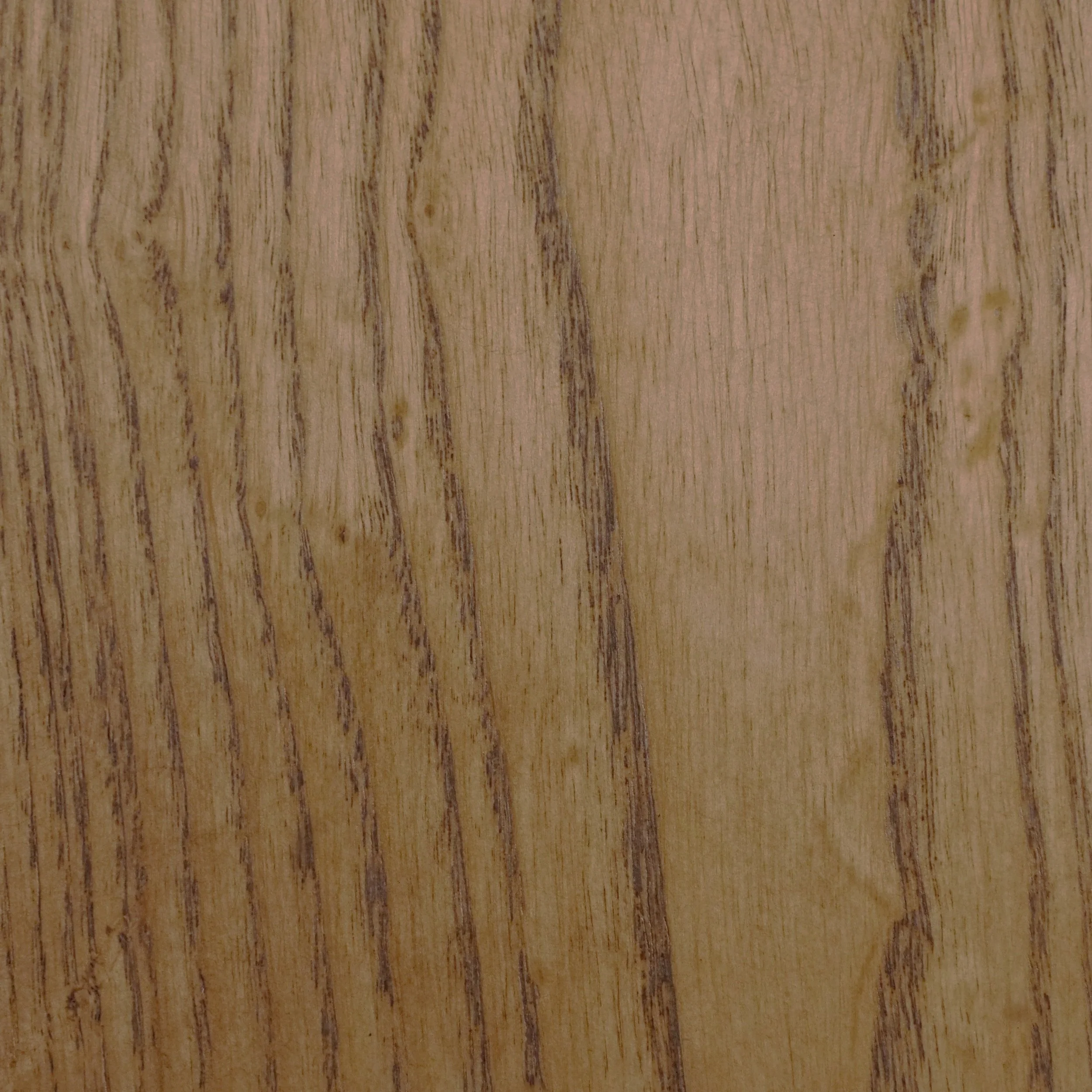 Dark Walnut on Ash