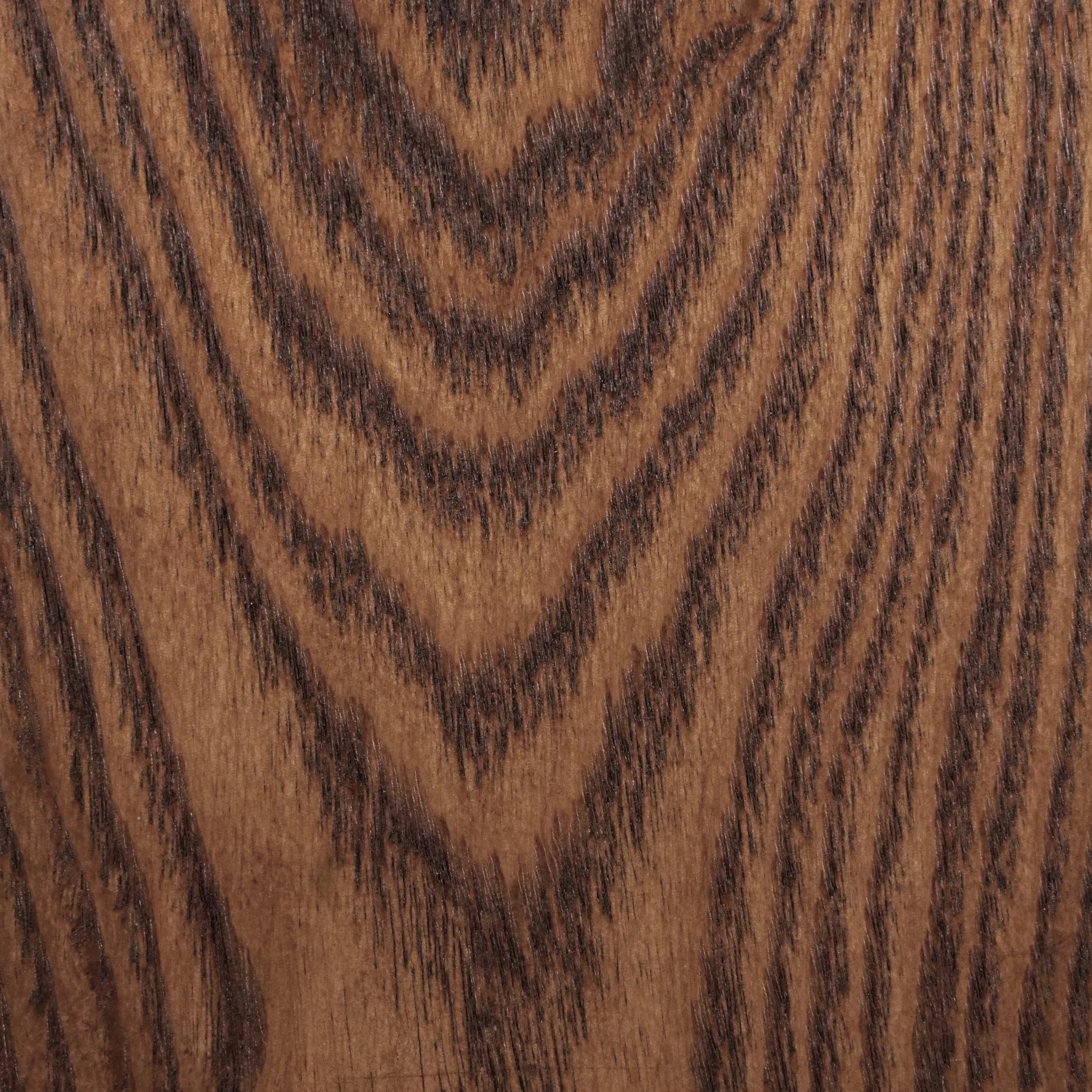 Golden Brown on Ash