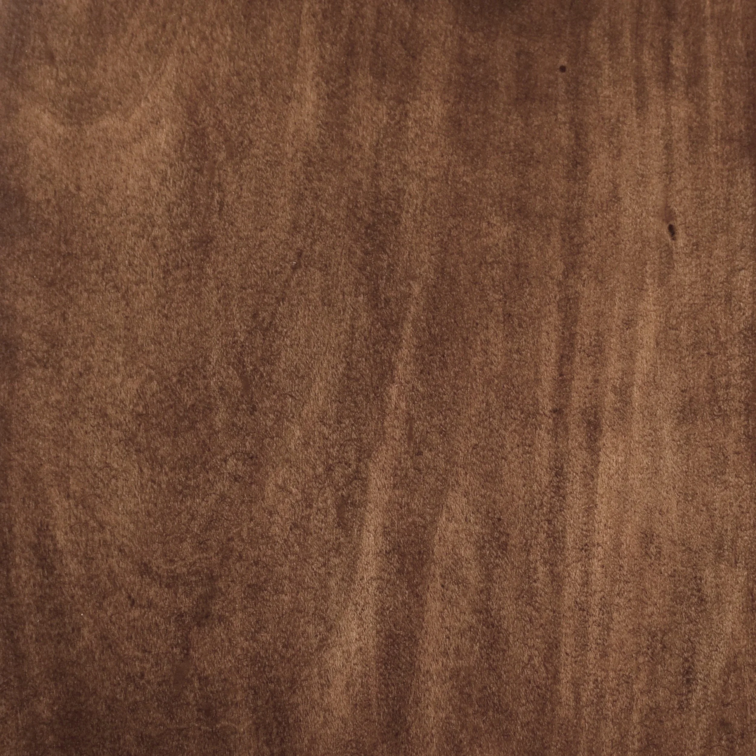 Golden Brown on Maple
