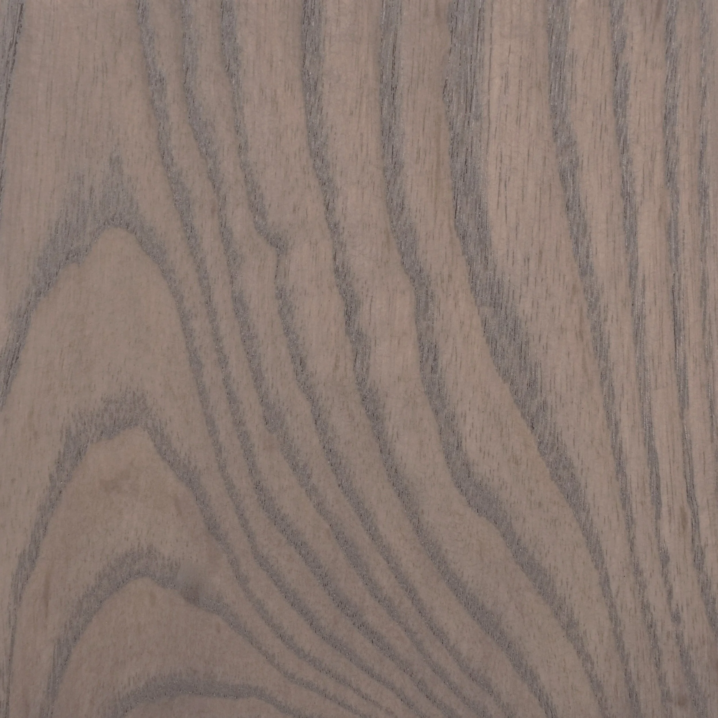 Shale Grey on Ash