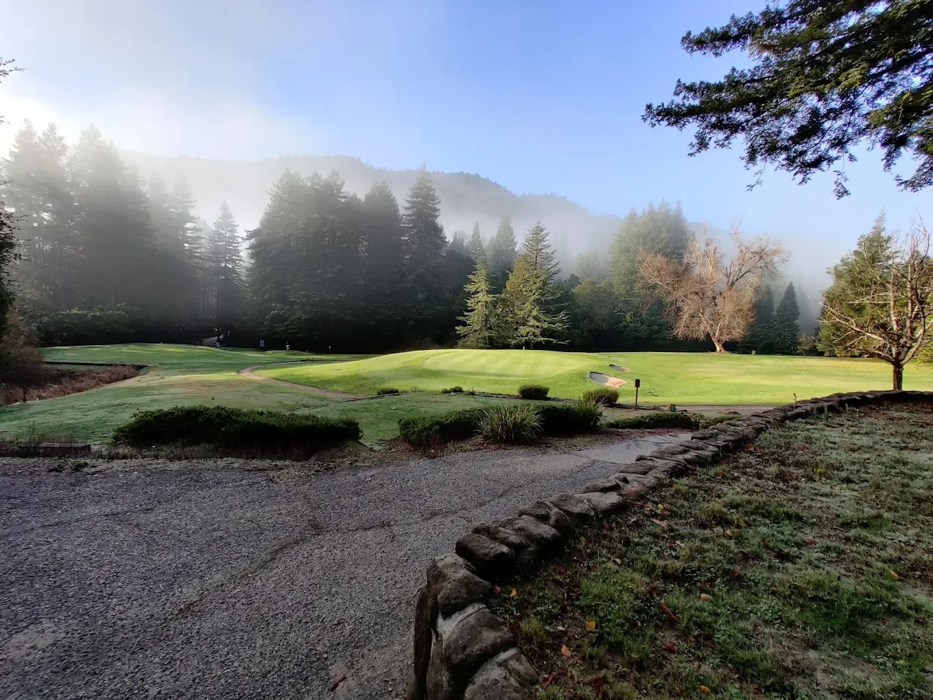 Boulder Creek Preserve Cleanup