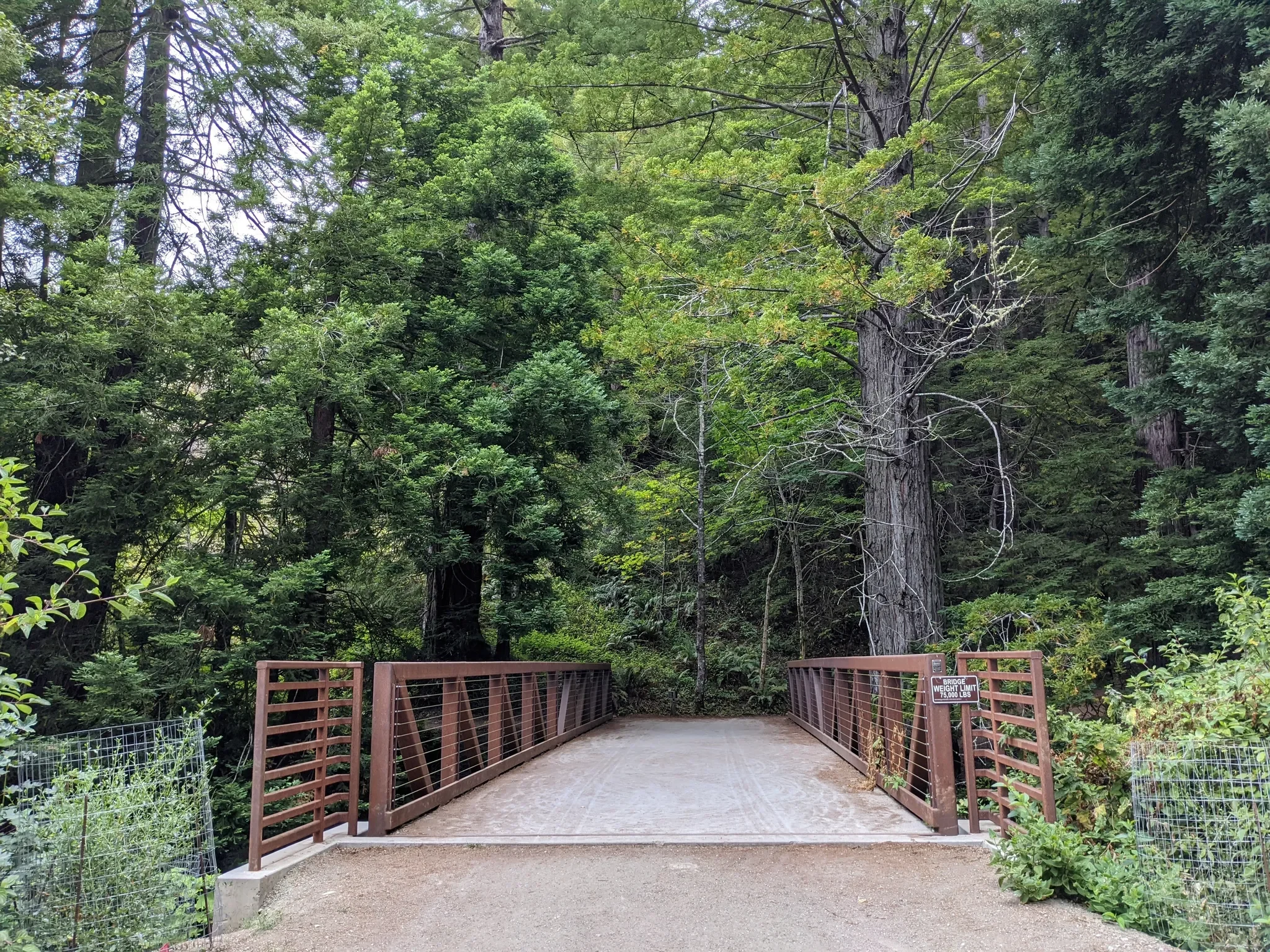 Purisima Creek Redwoods Open Space Preserve Cleanup 