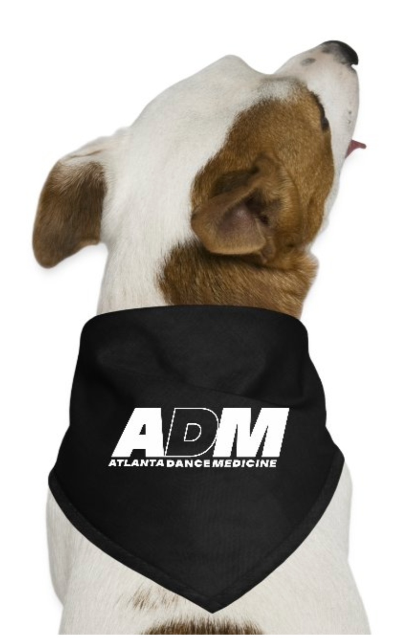 A dog with brown and white fur wearing a black bandana with the logo and text for Atlanta Dance Medicine.