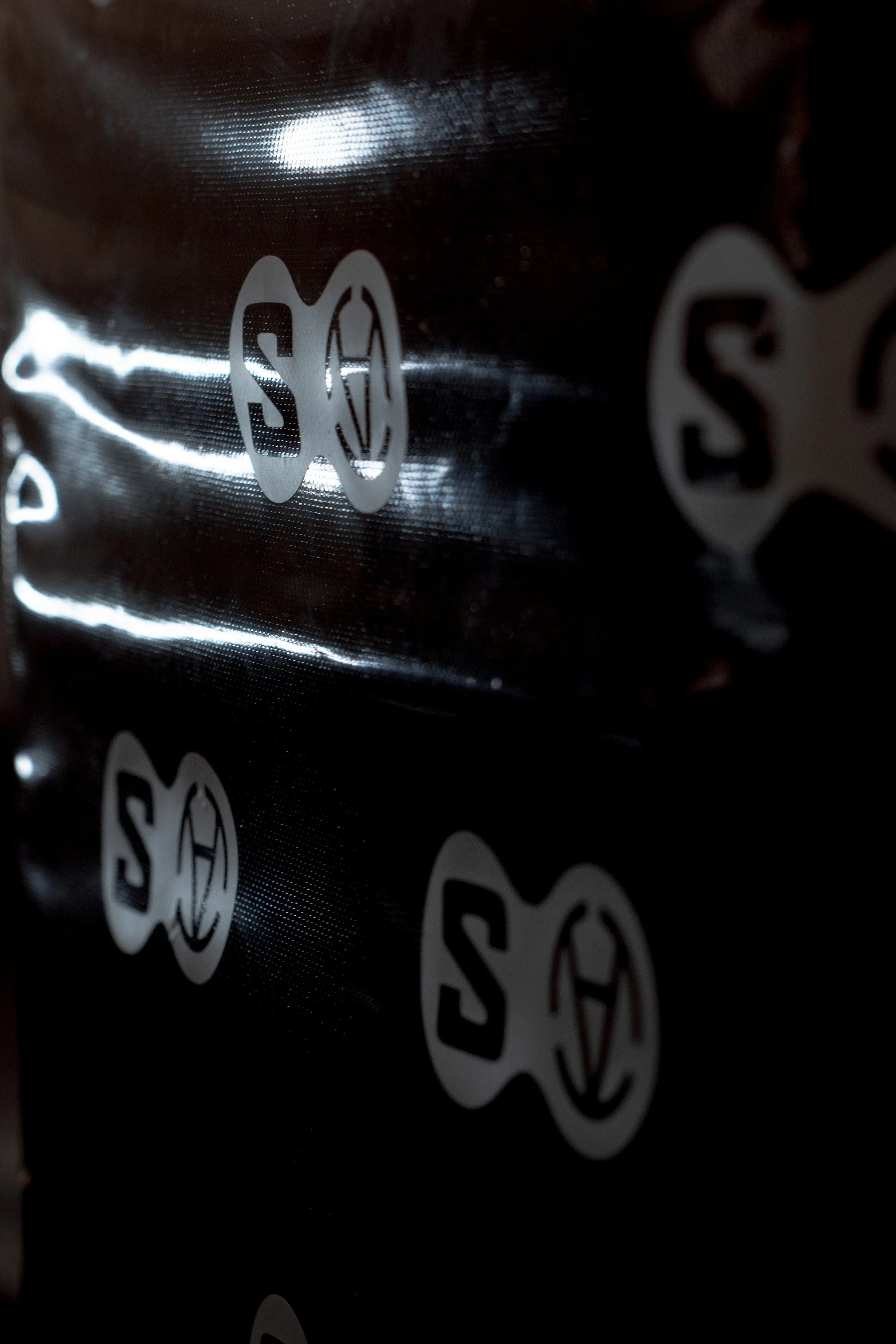 1902 SJ Salomon_AriaRuffini_2.jpg