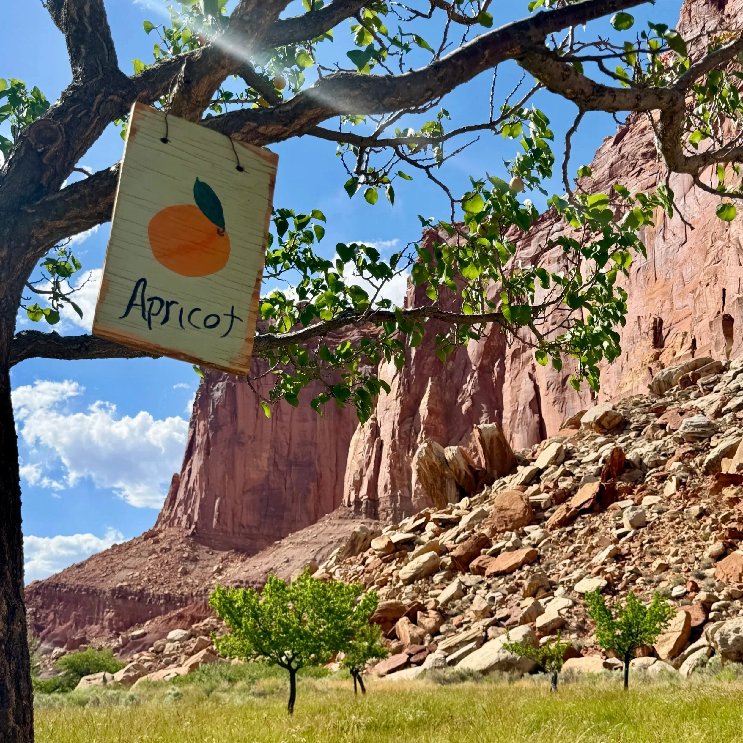 Red Rock, Fruit Pies and a Mirrored Cabin: Our Capitol Reef Adventure&nbsp;&nbsp;