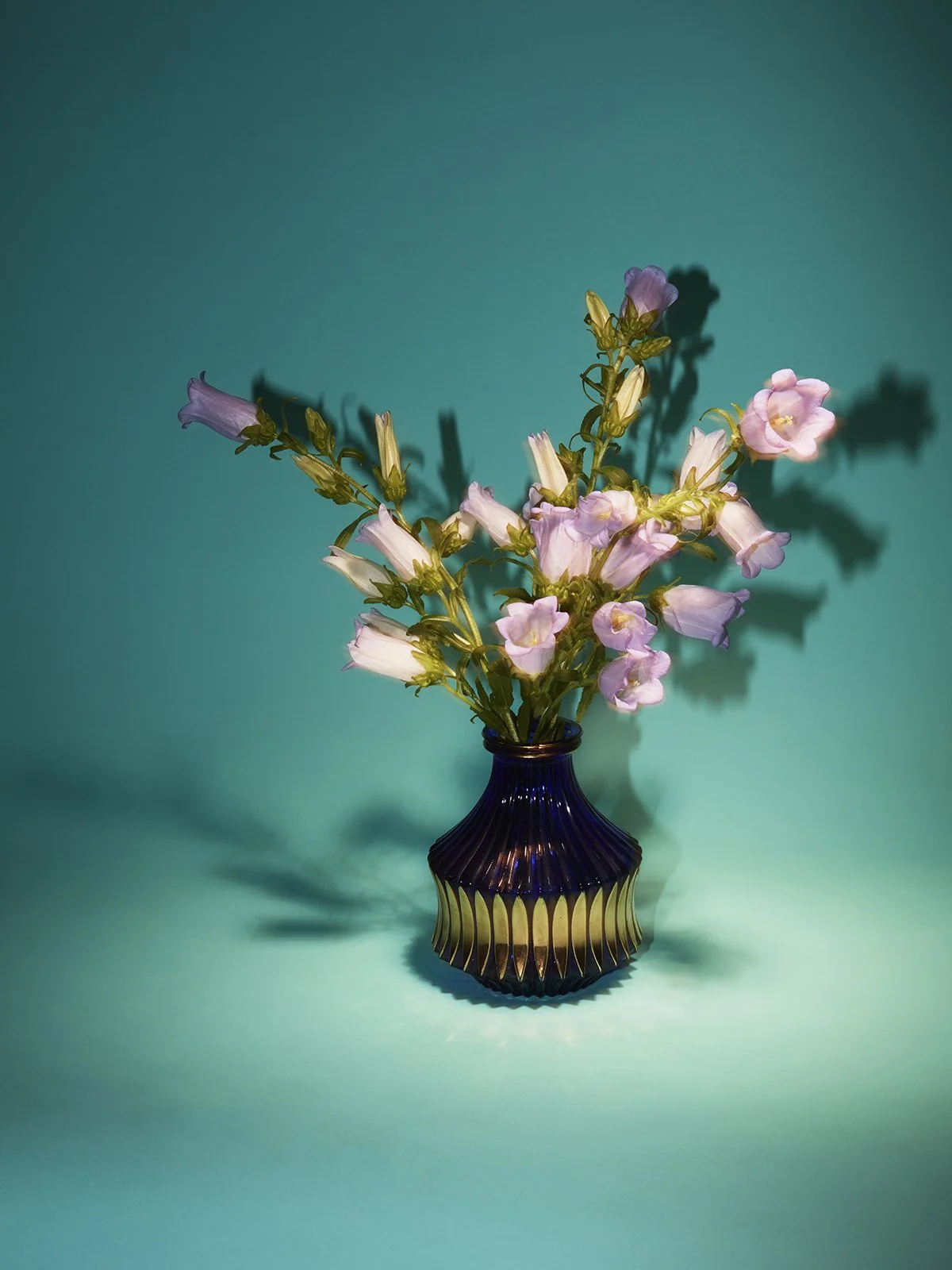 FLOWERS16_THEODORA_RICHTER_06 copie.jpg