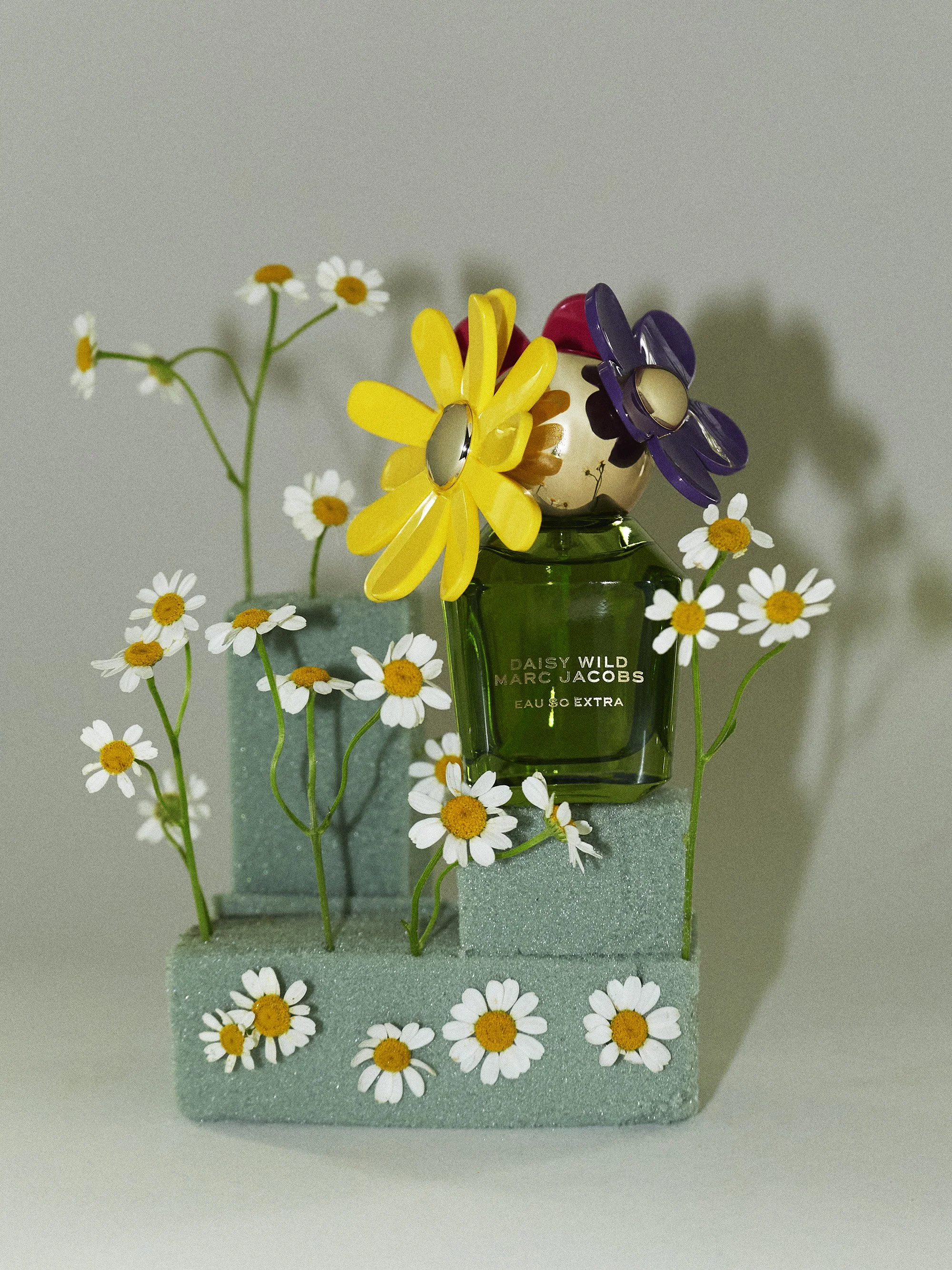 THEO_richter_Spring2601.jpg