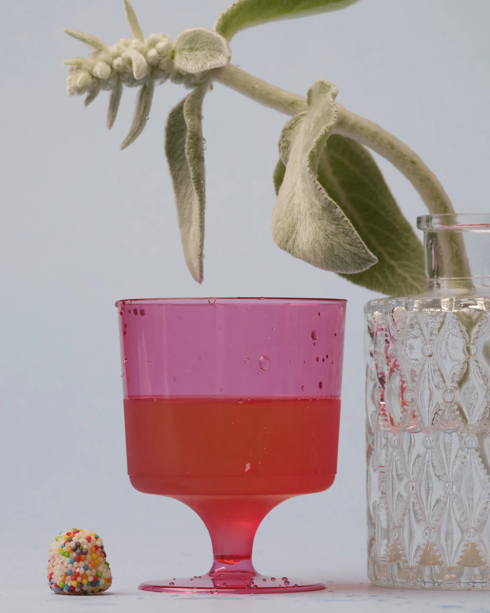 TEST_JUNE_2026_COLORS2888.jpg