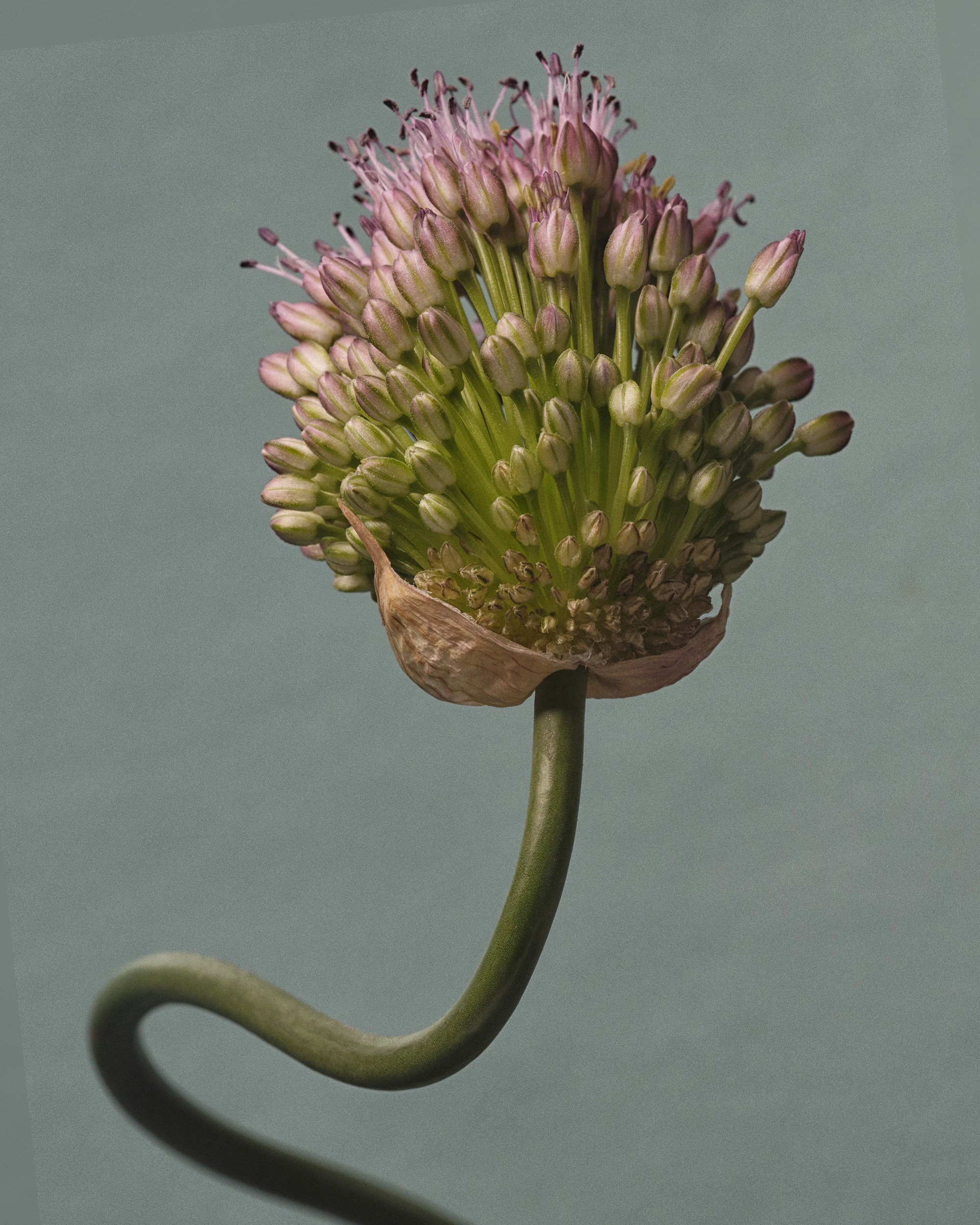 TEST_JUNE_2026_COLORS0293.jpg