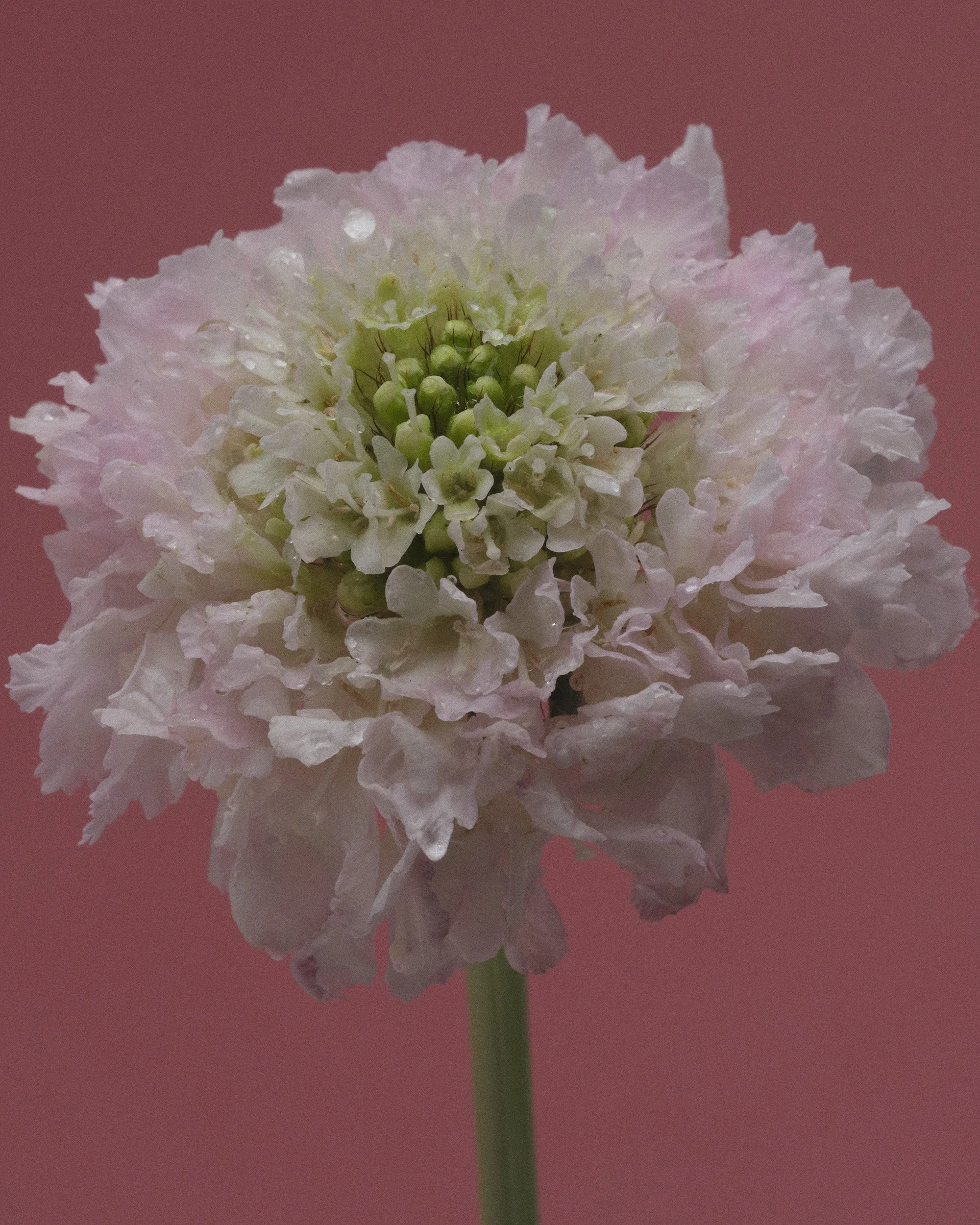 TEST_JUNE_2026_COLORS2627.jpg