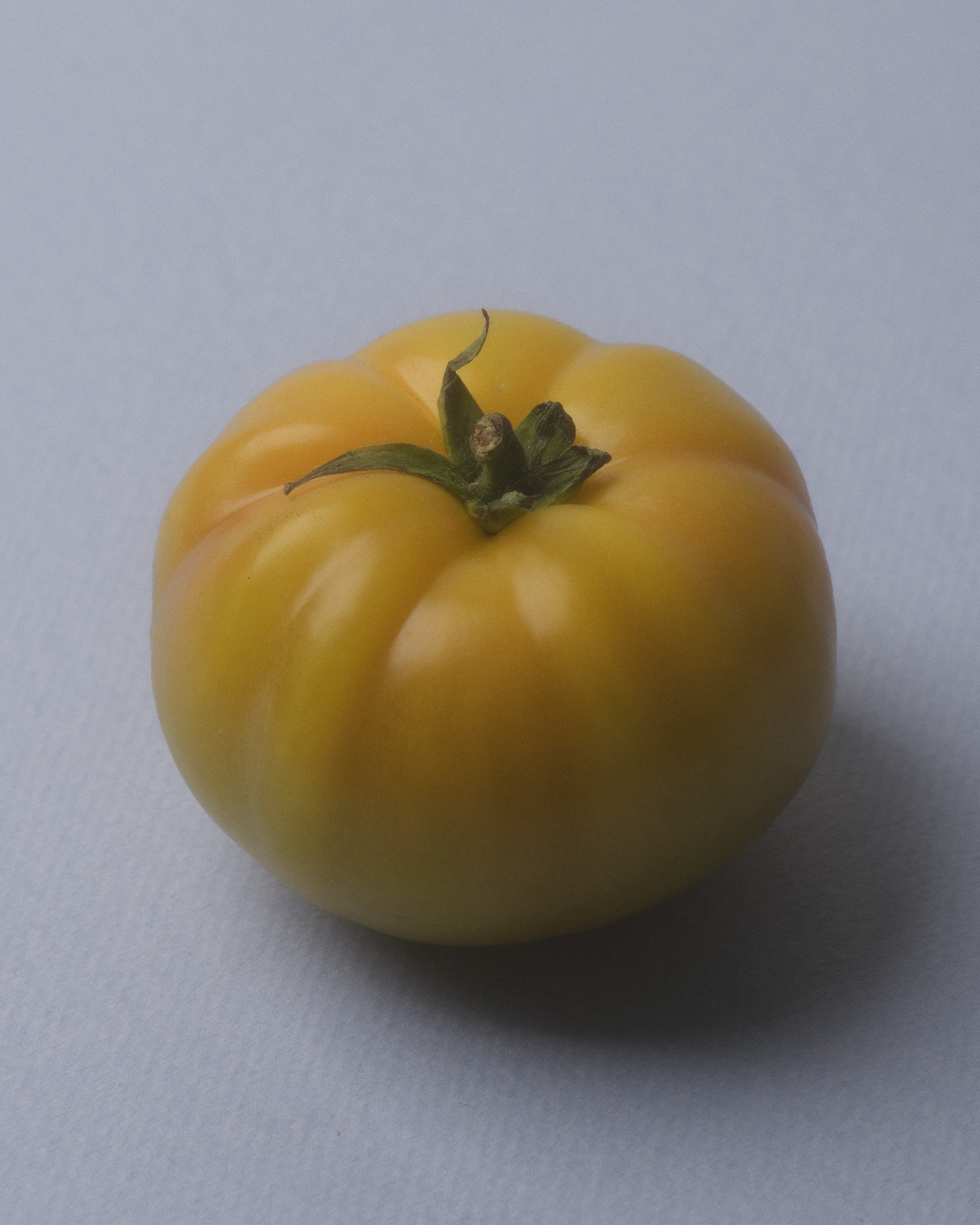 TEST_JUNE_2026_COLORS2679.jpg
