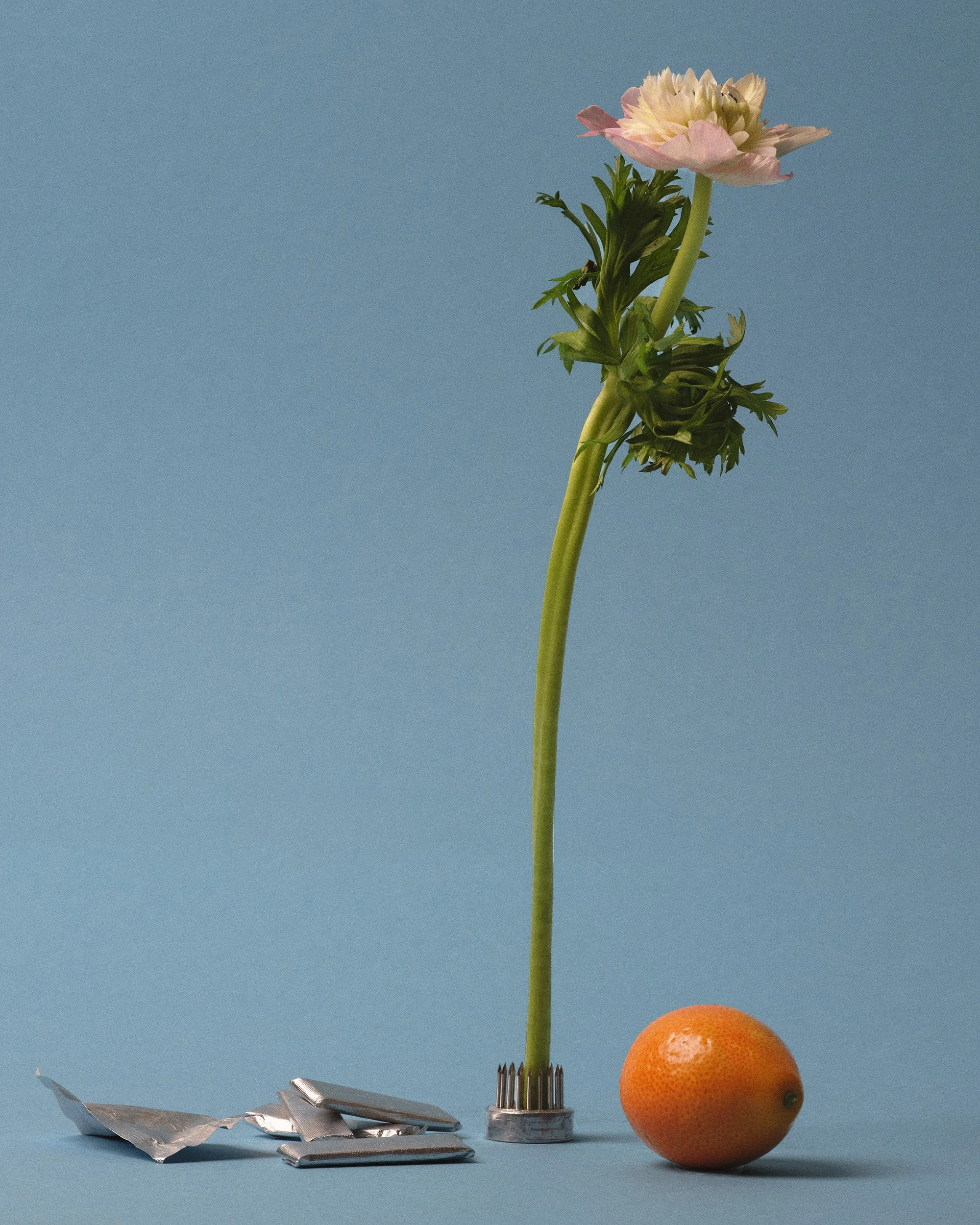 TEST_JUNE_2026_COLORS2350.jpg