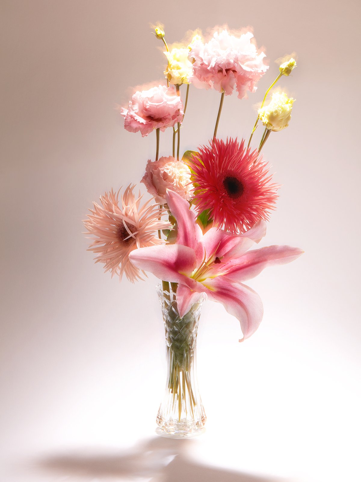 FLOWERS16_THEODORA_RICHTER_19 copie.jpg