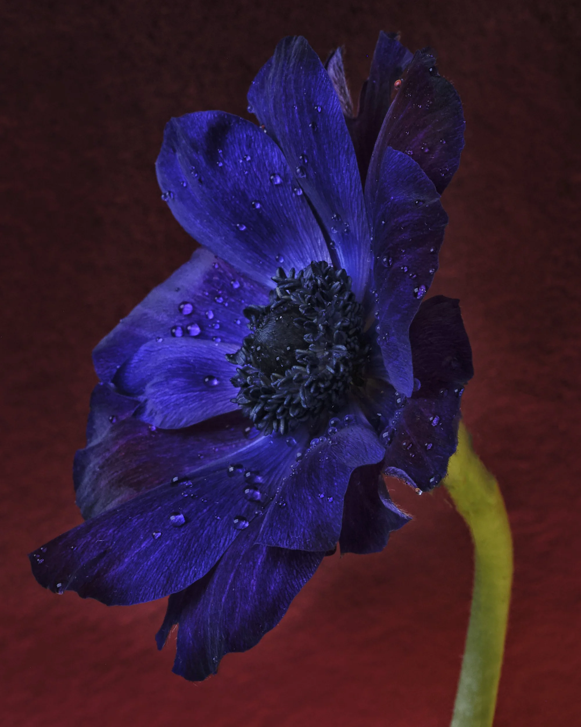 TEST_JUNE_2026_COLORS0249.jpg