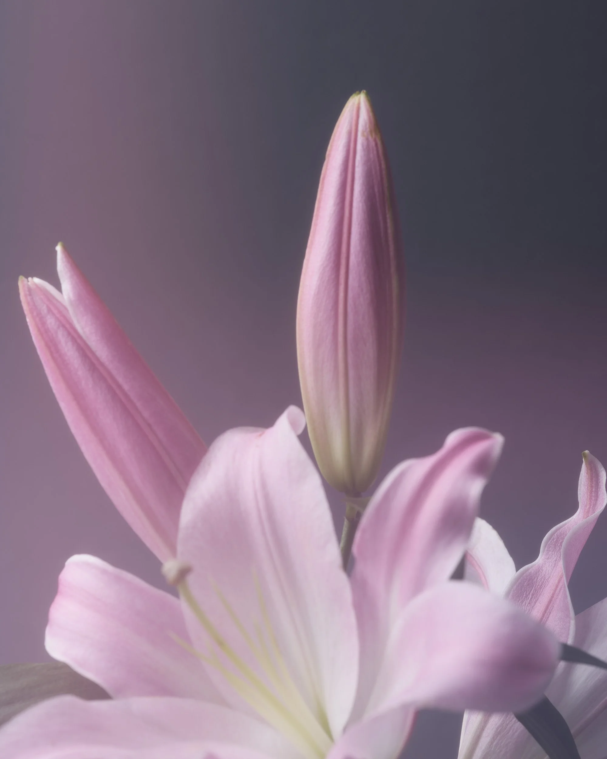 TEST_JUNE_2026_COLORS0029.jpg