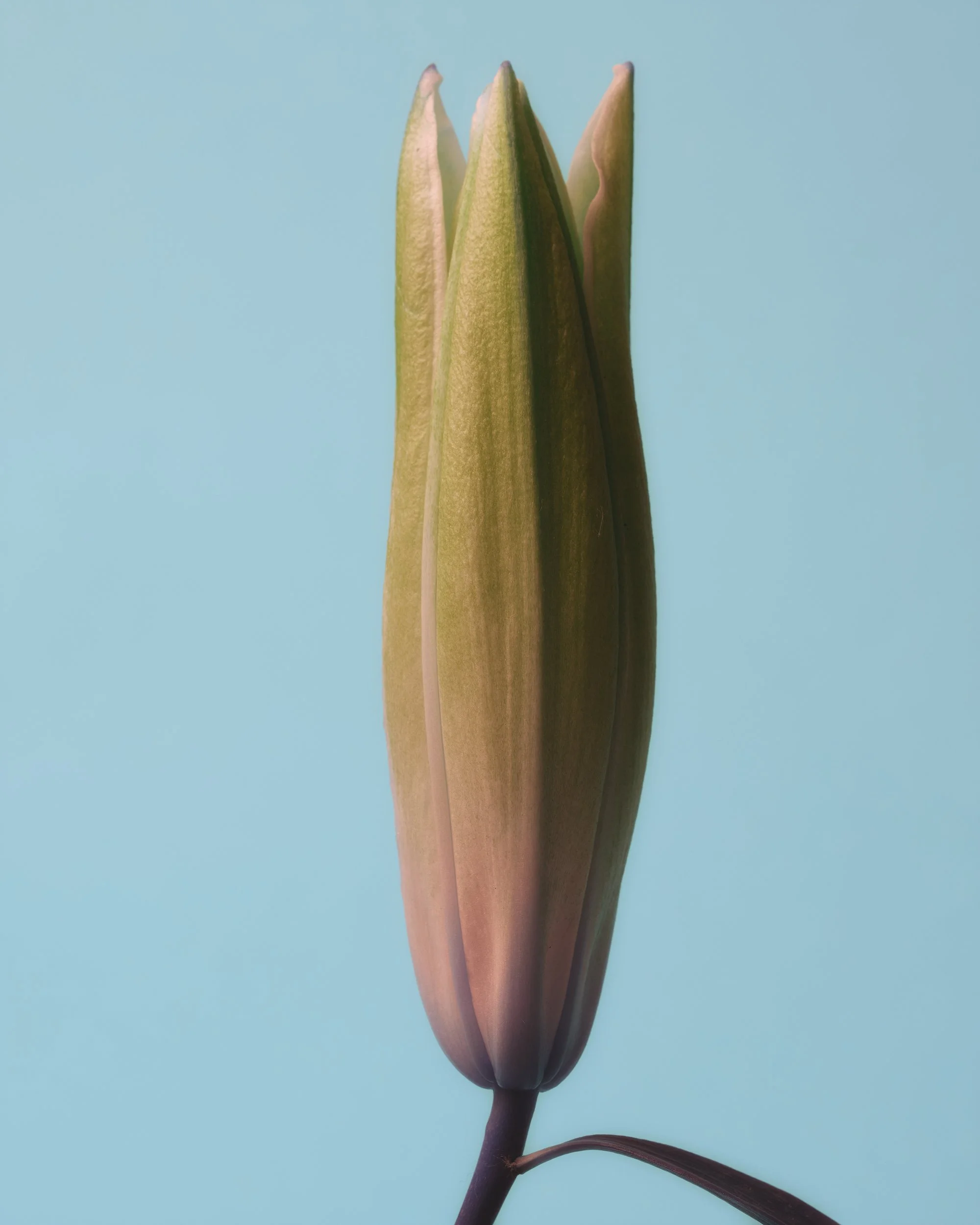 TEST_JUNE_2026_COLORS0087.jpg