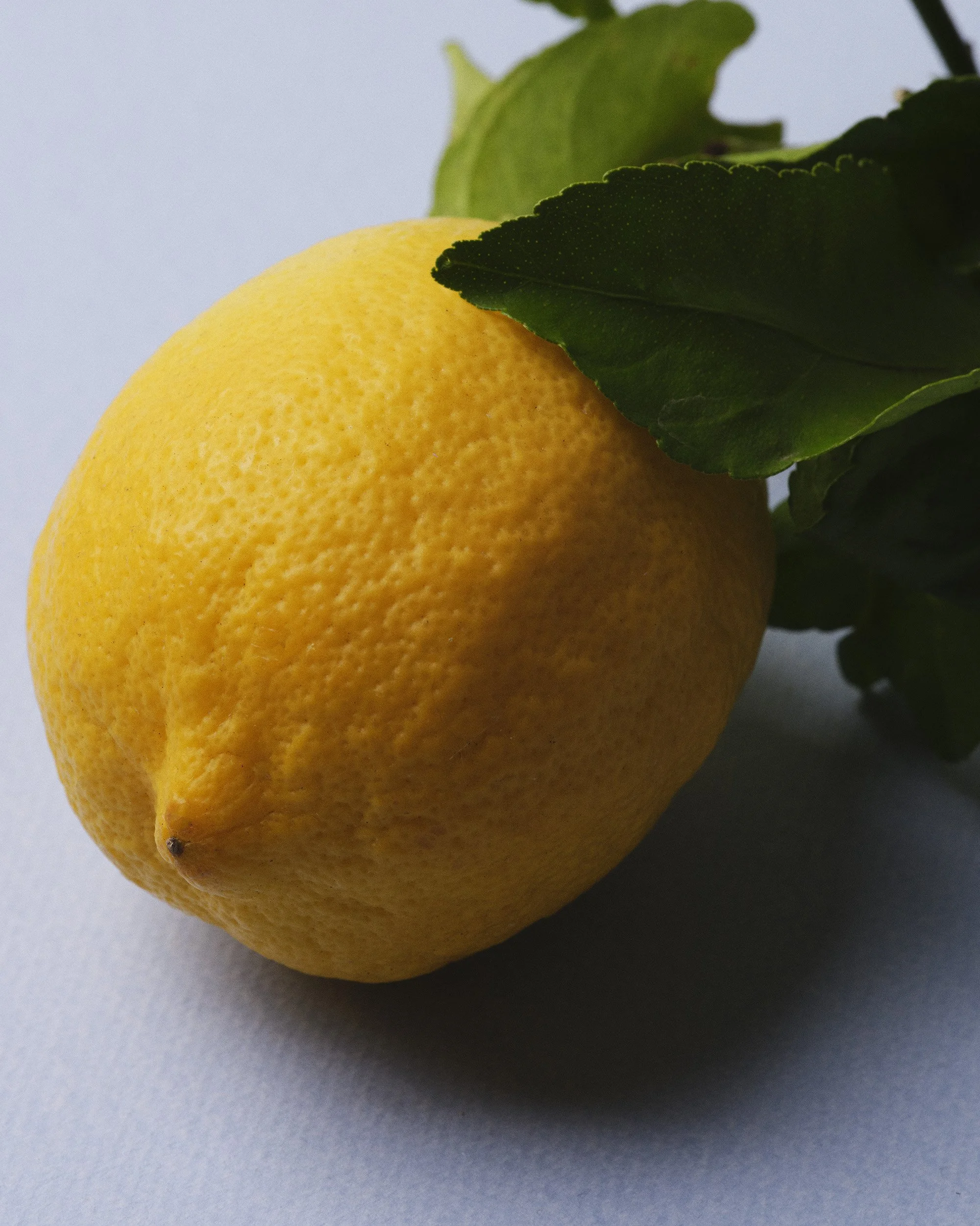 TEST_JUNE_2026_COLORS2676.jpg